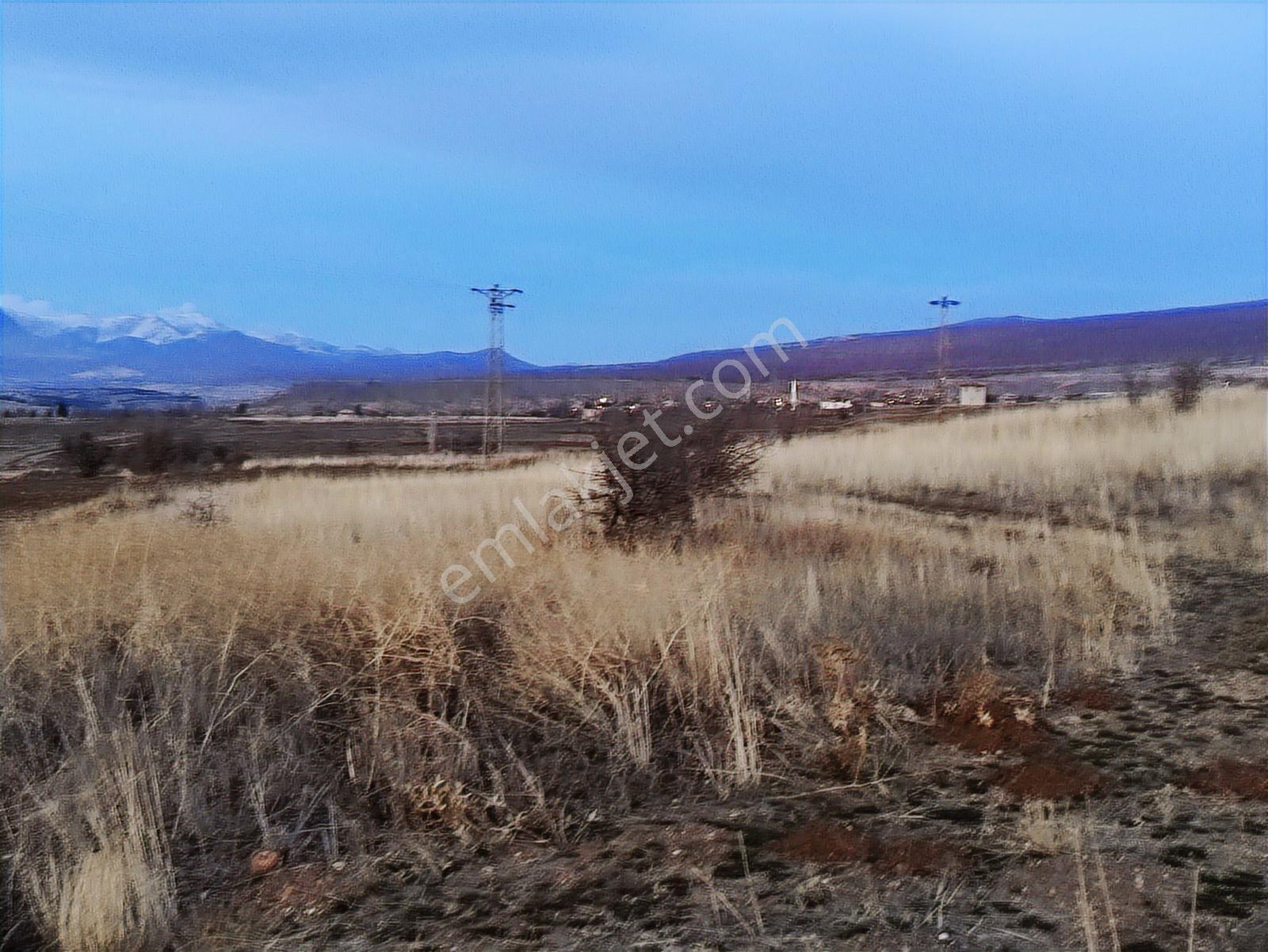 Özpınar ,dan Çavuş Köyüne 1km. Suyu Ve Yolu Olan Bahçe 1750 M2 - Görsel 25