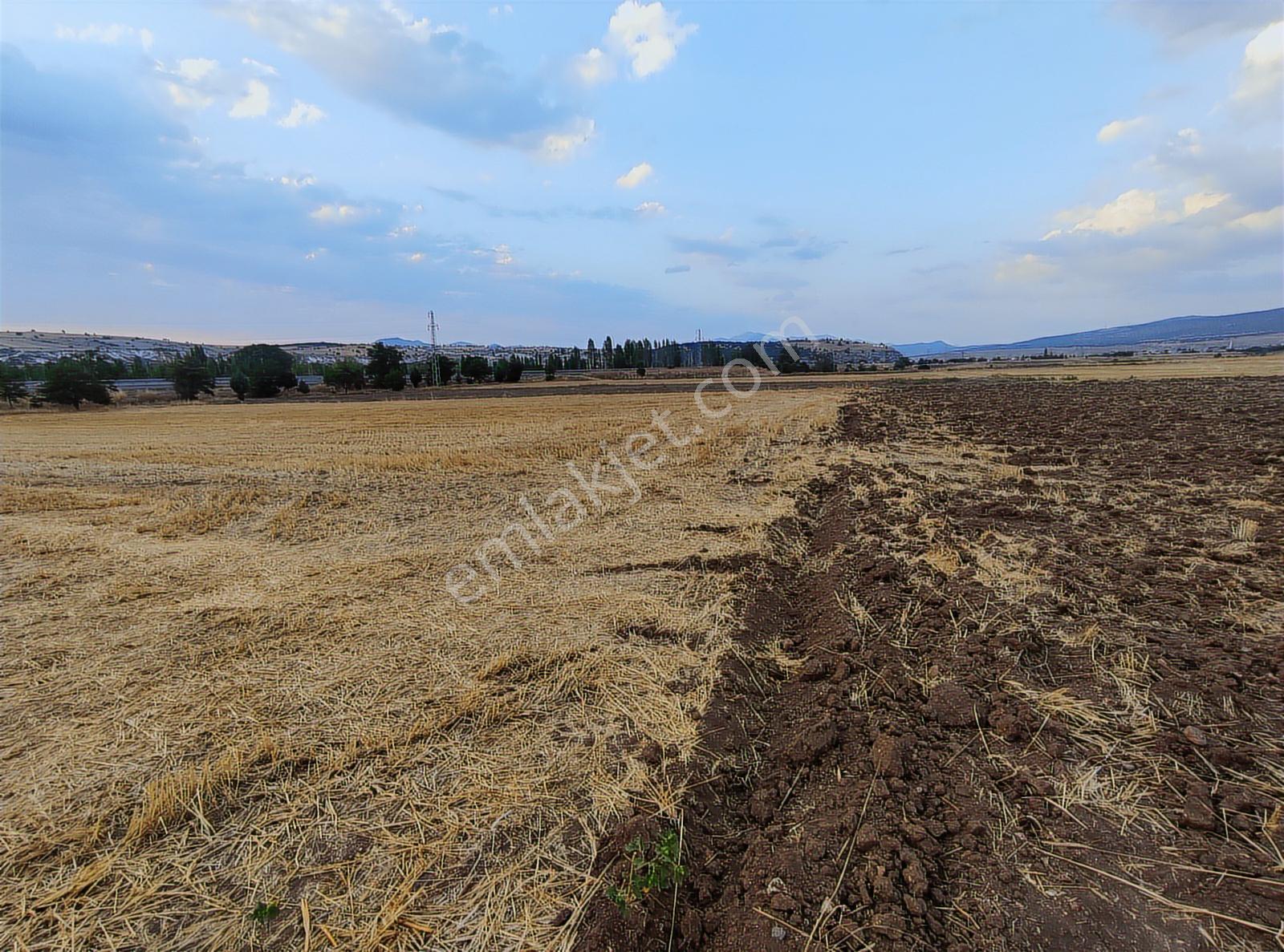 Özpınar ,dan Çavuş Köyüne 1km. Suyu Ve Yolu Olan Bahçe 1750 M2 - Görsel 8