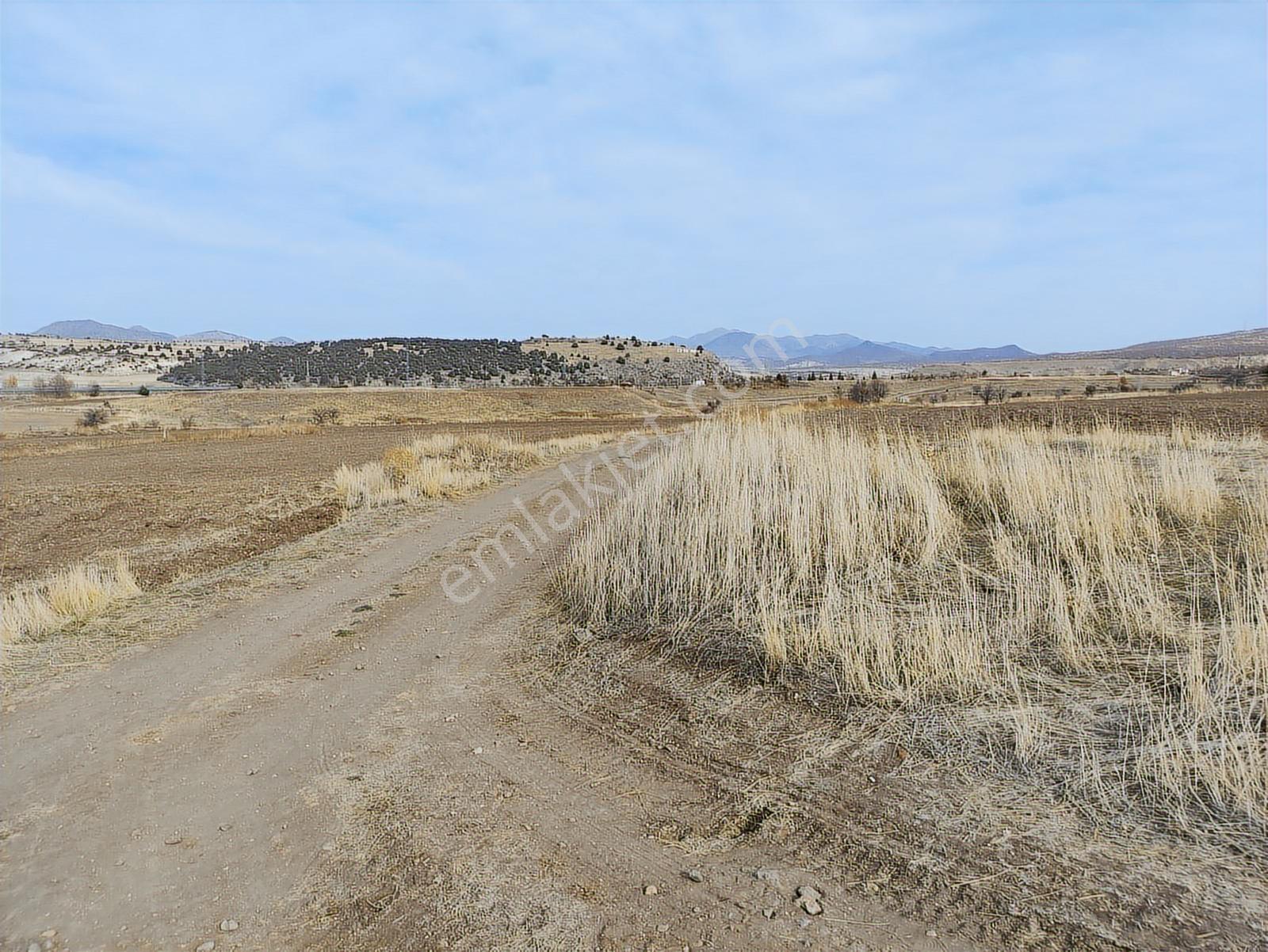 Özpınar ,dan Çavuş Köyüne 1km. Suyu Ve Yolu Olan Bahçe 1750 M2 - Görsel 12
