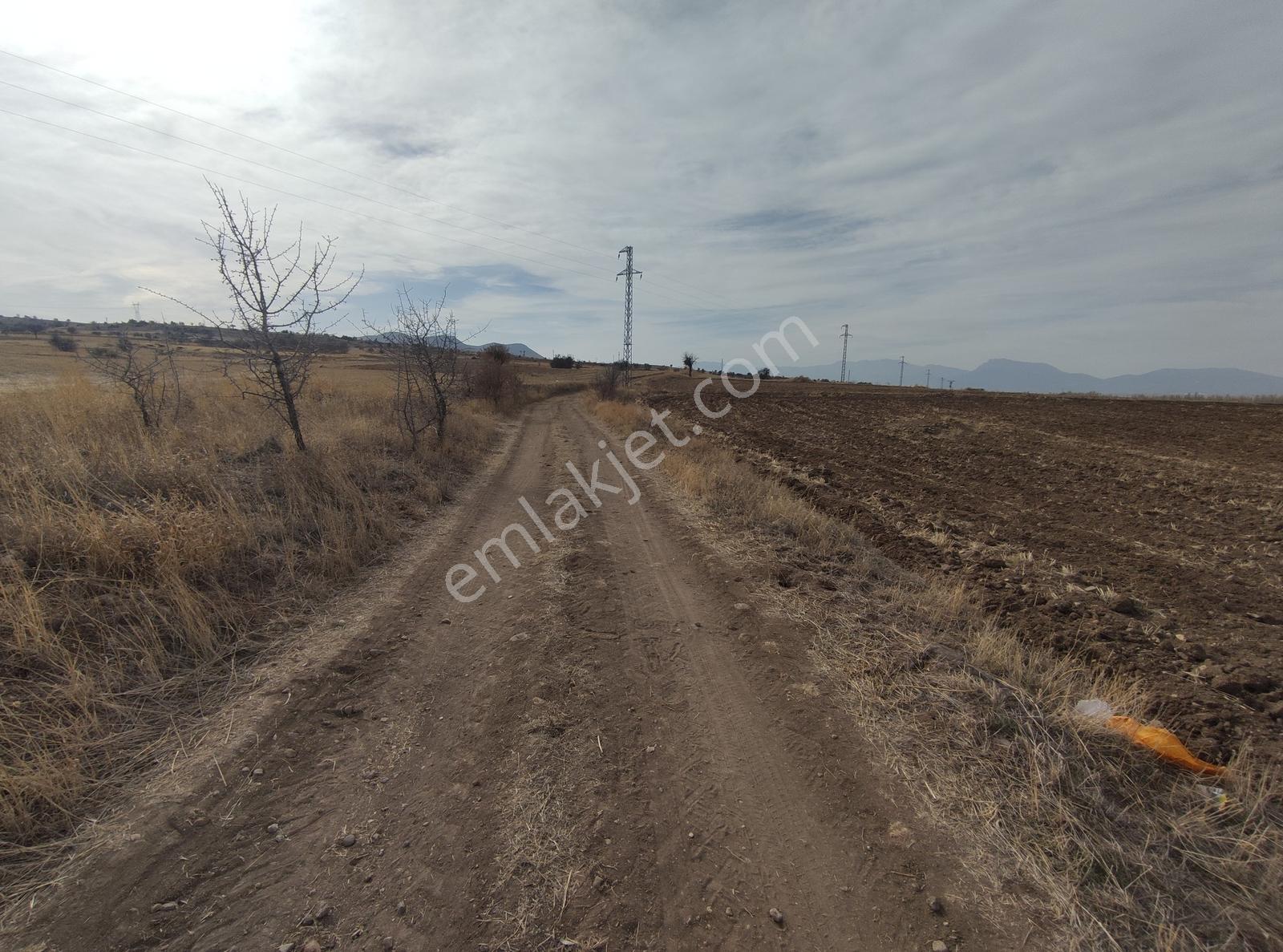 Özpınar ,dan Çavuş Köyüne 1km. Suyu Ve Yolu Olan Bahçe 1750 M2 - Görsel 11
