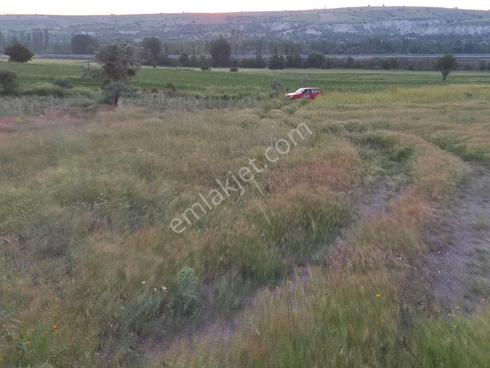 Özpınar ,dan Çavuş Köyüne 1km. Suyu Ve Yolu Olan Bahçe 1750 M2 - Görsel 31