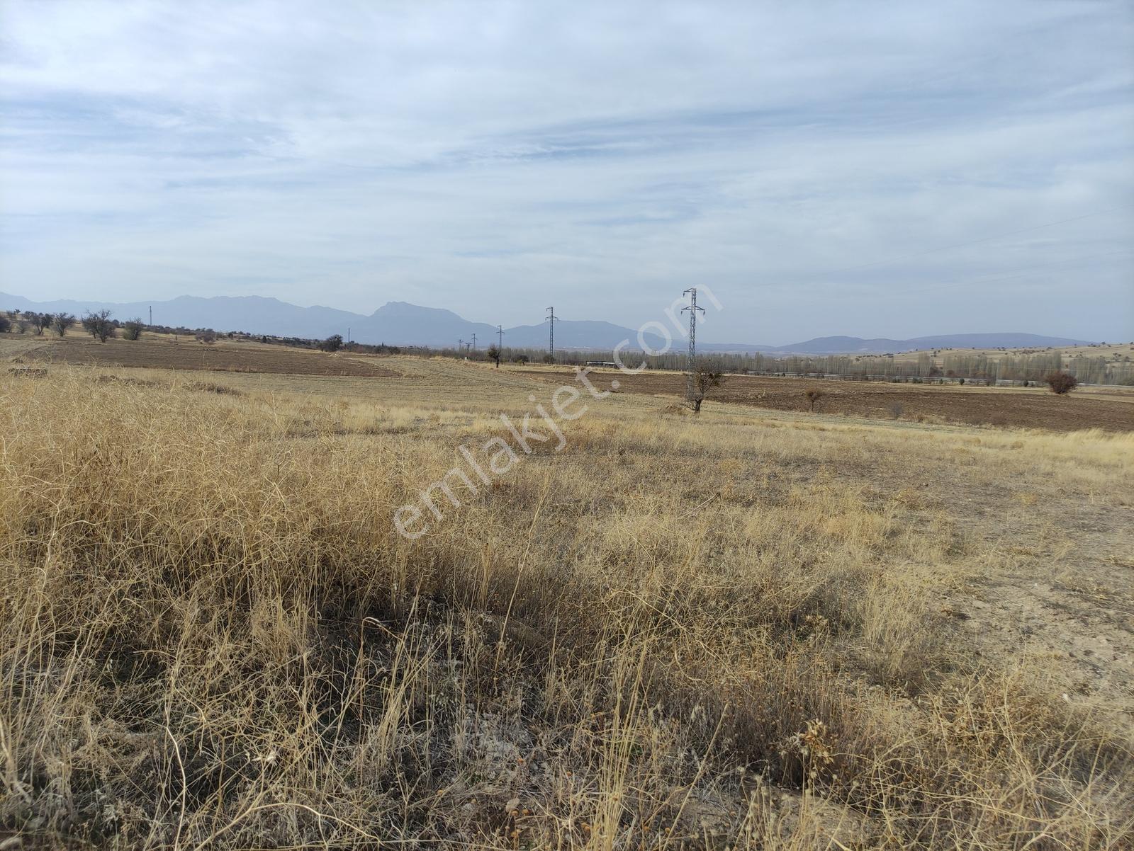 Özpınar ,dan Çavuş Köyüne 1km. Suyu Ve Yolu Olan Bahçe 1750 M2 - Görsel 17