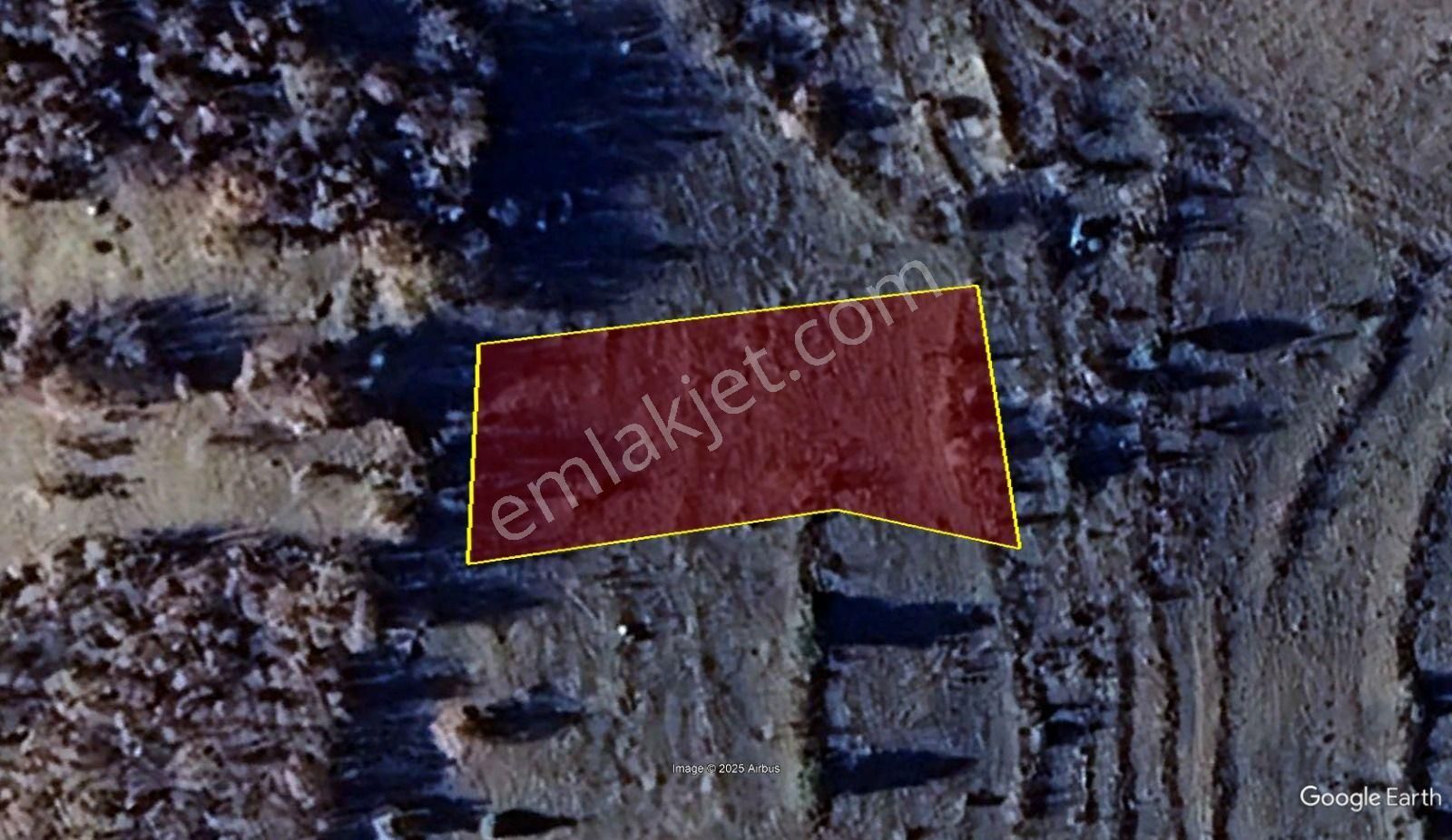 Konya / Bozkır / Kınık Mahallesinde 1.086 M² Müstakil Tapulu Tarla