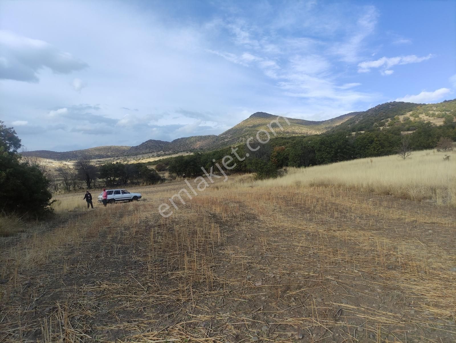 Özpınar,dan Bostandere,de Satılık Tarla 3298 M2 Dağ Yolu Var !