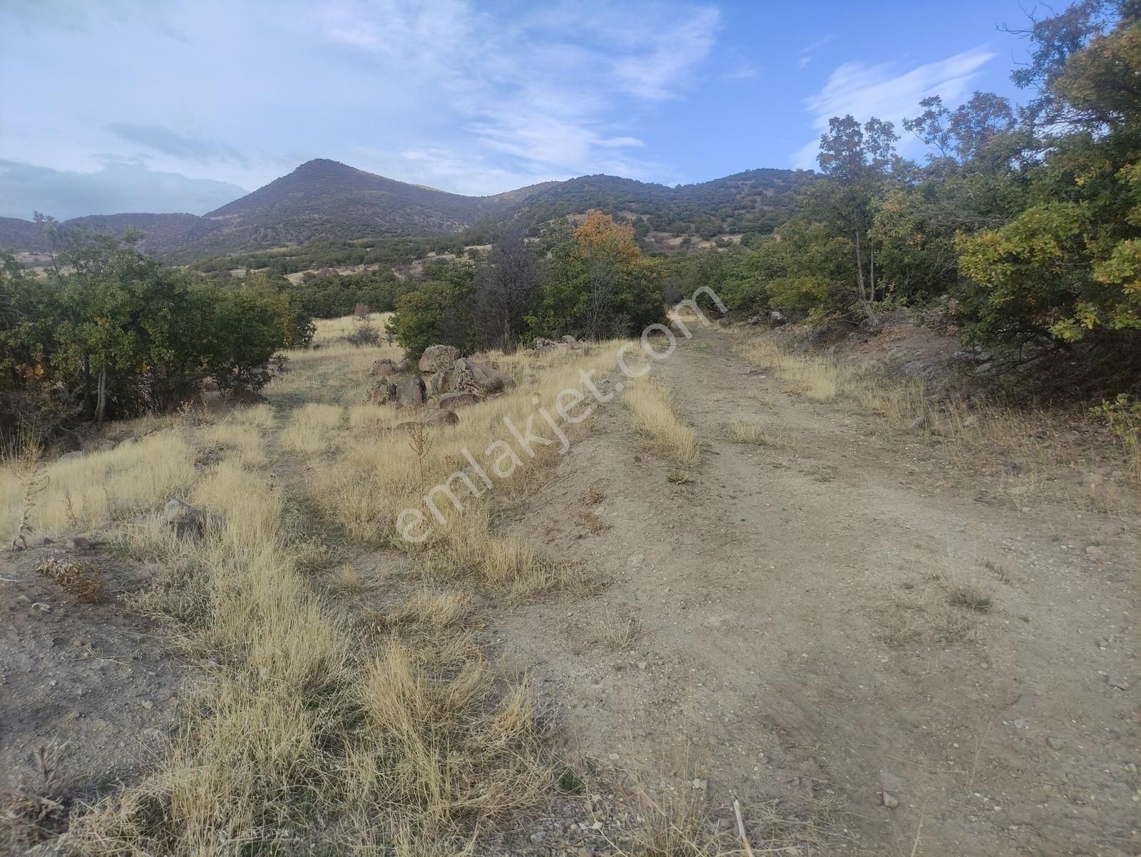 Özpınar,dan Bostandere,de Satılık Tarla 3298 M2 Dağ Yolu Var ! - Görsel 12