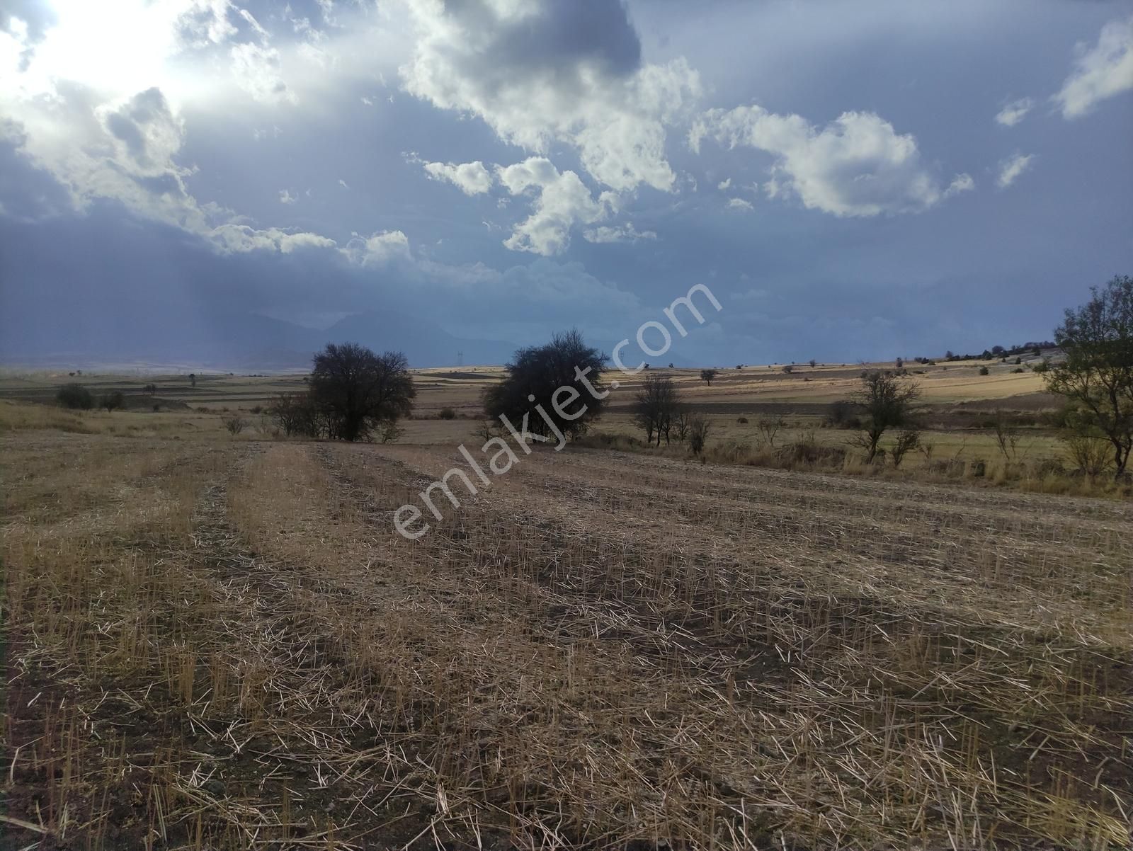 Özpınar,dan Bostandere,de Satılık Tarla 3298 M2 Dağ Yolu Var ! - Görsel 17
