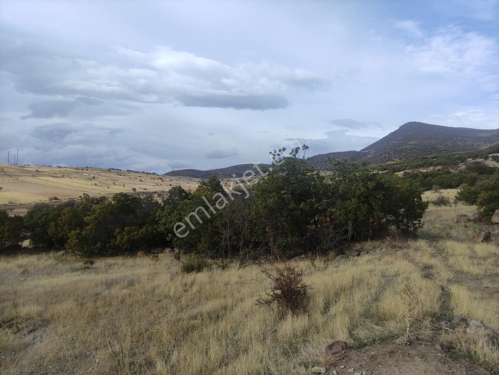Özpınar,dan Bostandere,de Satılık Tarla 3298 M2 Dağ Yolu Var ! - Görsel 4