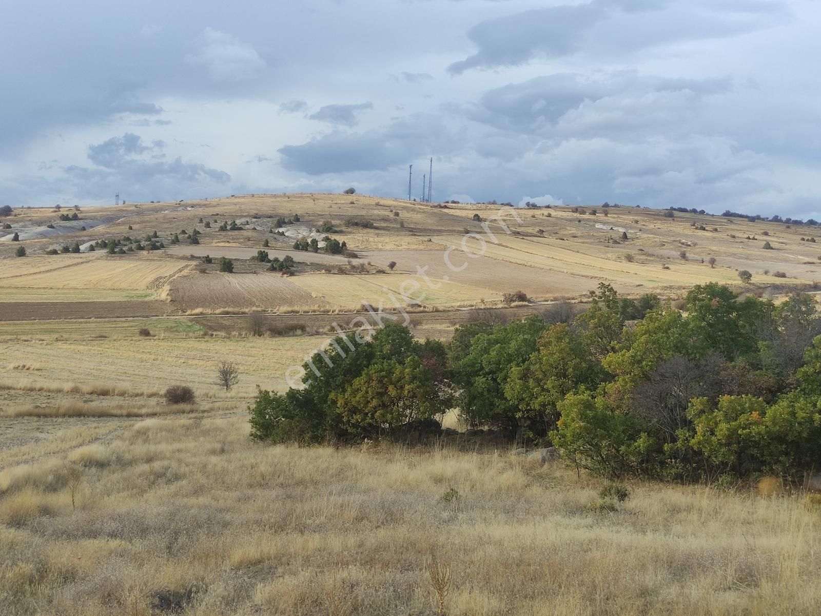 Özpınar,dan Bostandere,de Satılık Tarla 3298 M2 Dağ Yolu Var ! - Görsel 9