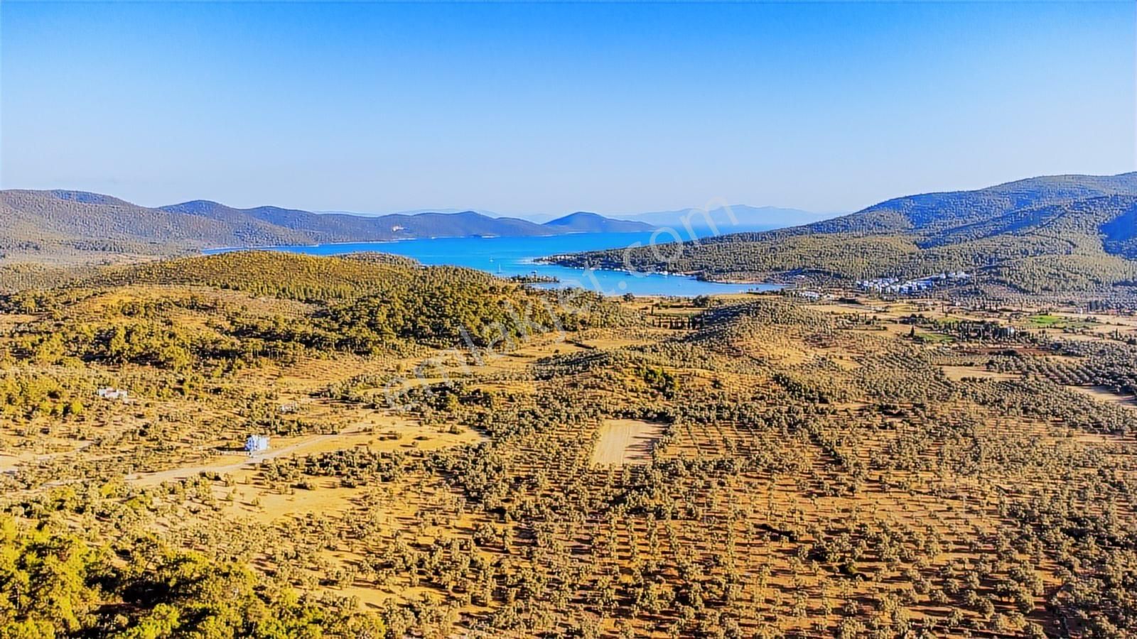 Kazıklıda Satılık 10.163 M2 Yoldan 3. Parsel Full Denizmanzaralı - Görsel 2