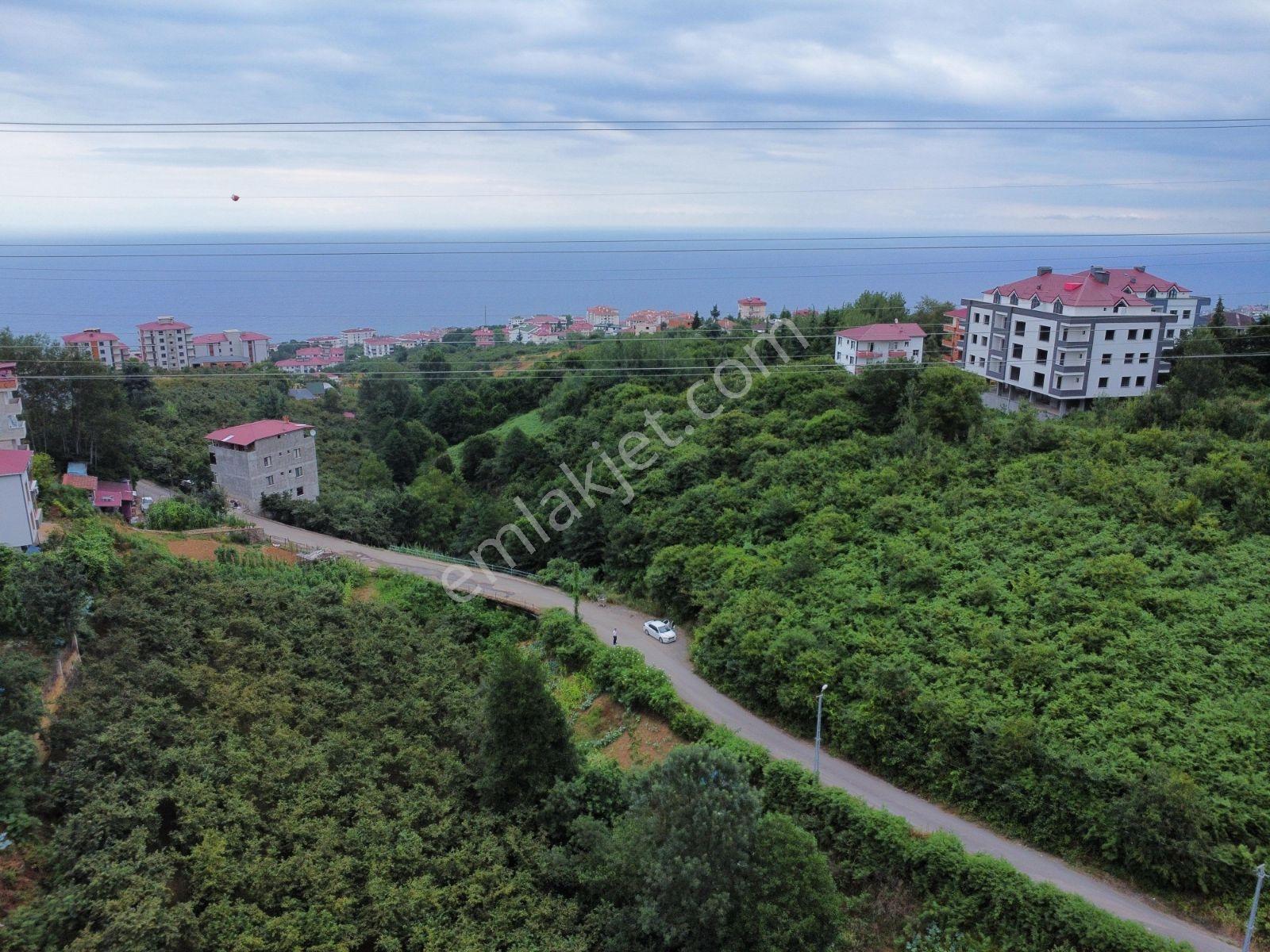 Yeşilköy İmarlı Manzaralı Arsa - Görsel 7