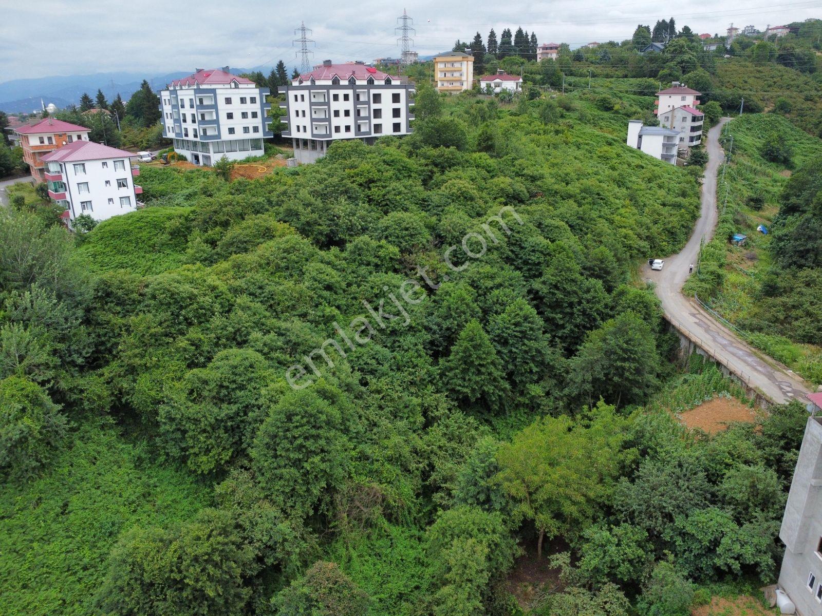 Yeşilköy İmarlı Manzaralı Arsa - Görsel 12