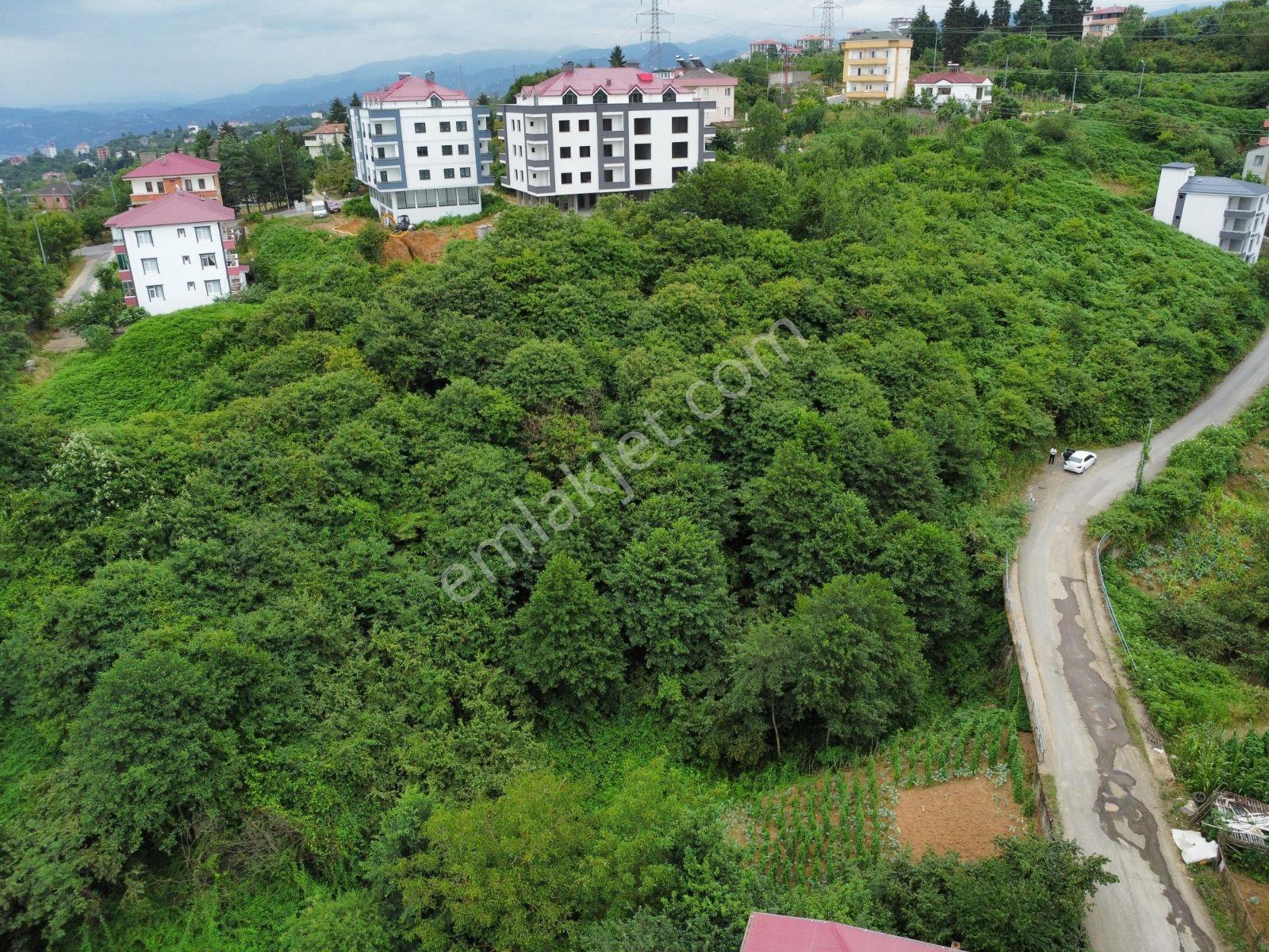 Yeşilköy İmarlı Manzaralı Arsa - Görsel 13