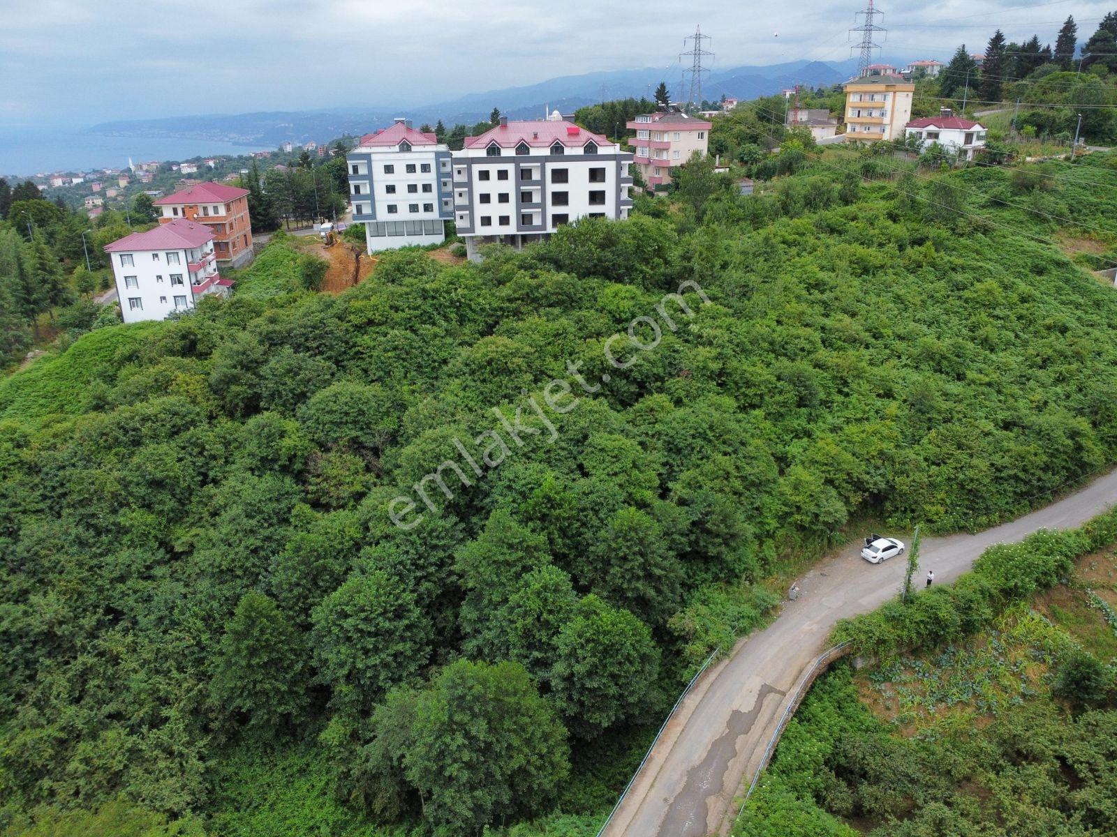 Yeşilköy İmarlı Manzaralı Arsa - Görsel 14