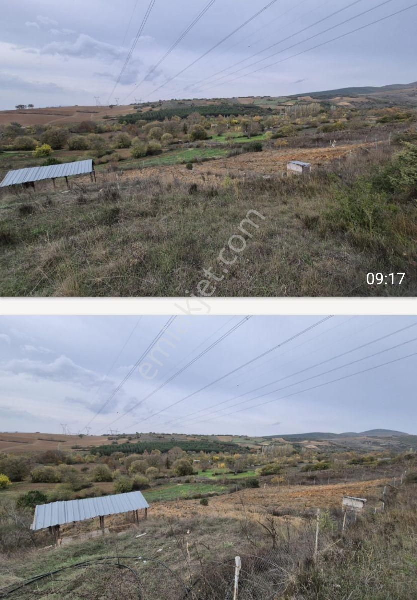 K2 Pera Yenişehir Barçın Hobi Bahçesi 1424 M2 Tek Tapu - Görsel 3