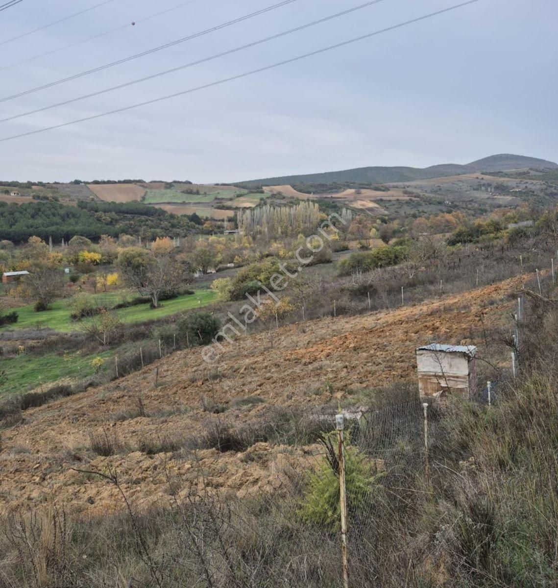 K2 Pera Yenişehir Barçın Hobi Bahçesi 1424 M2 Tek Tapu - Görsel 9