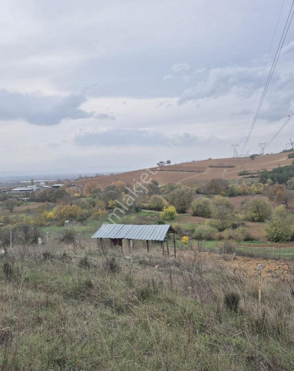 K2 Pera Yenişehir Barçın Hobi Bahçesi 1424 M2 Tek Tapu - Görsel 11