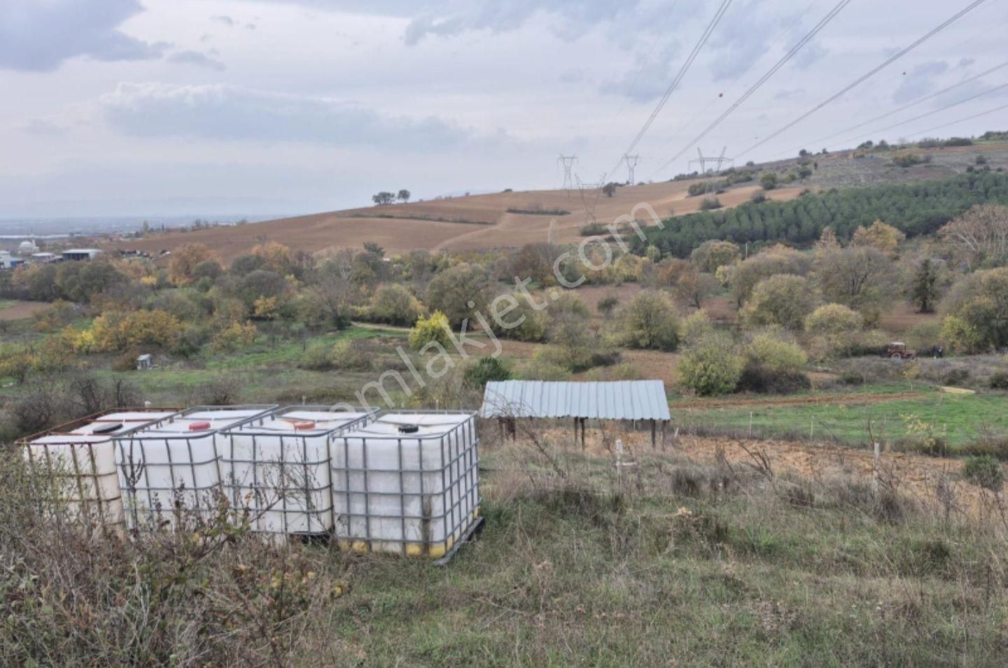 K2 Pera Yenişehir Barçın Hobi Bahçesi 1424 M2 Tek Tapu - Görsel 4