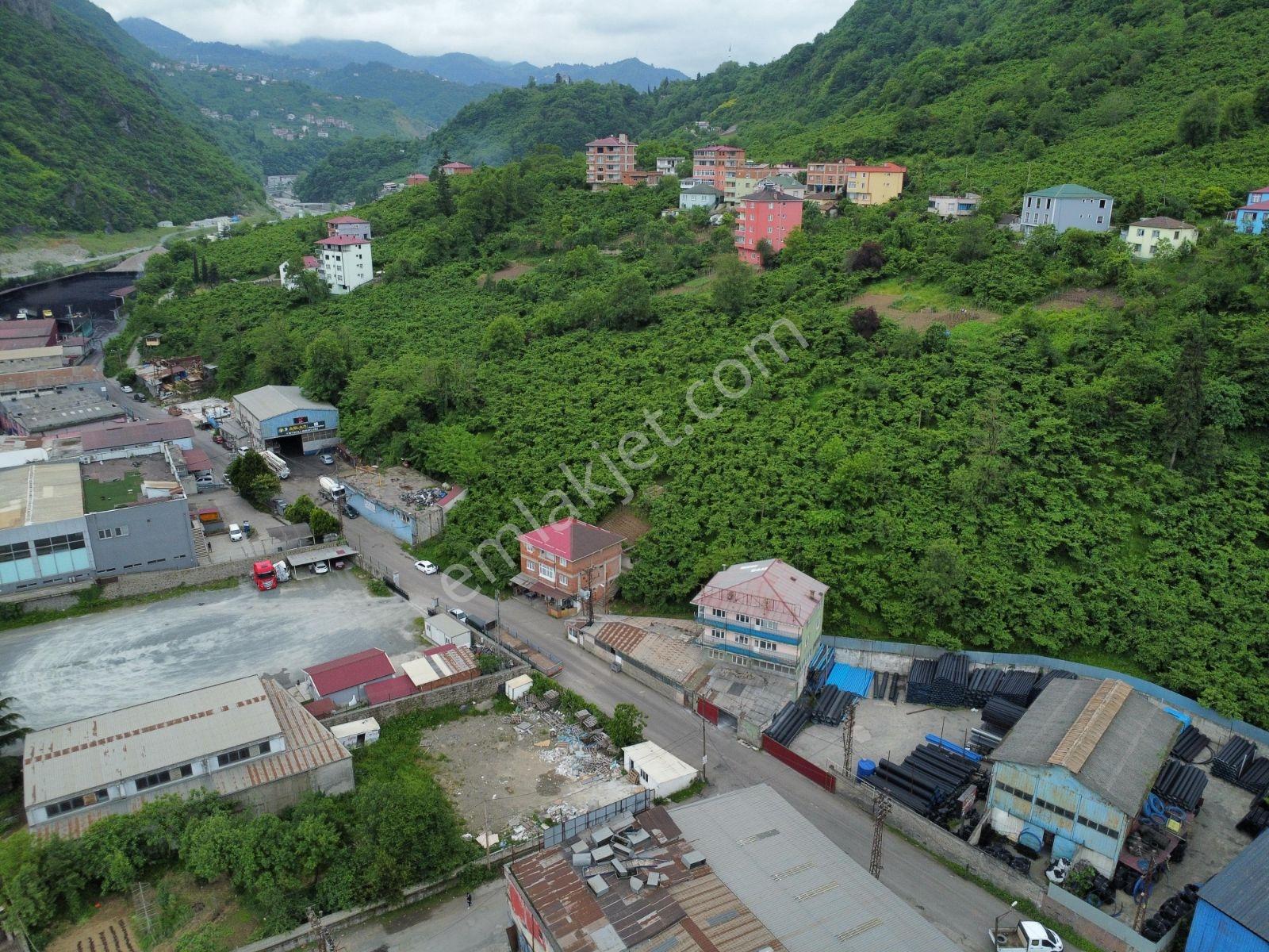 Trabzon Kutlugün Sanayi Bölgesi Büyük Arazi - Görsel 15