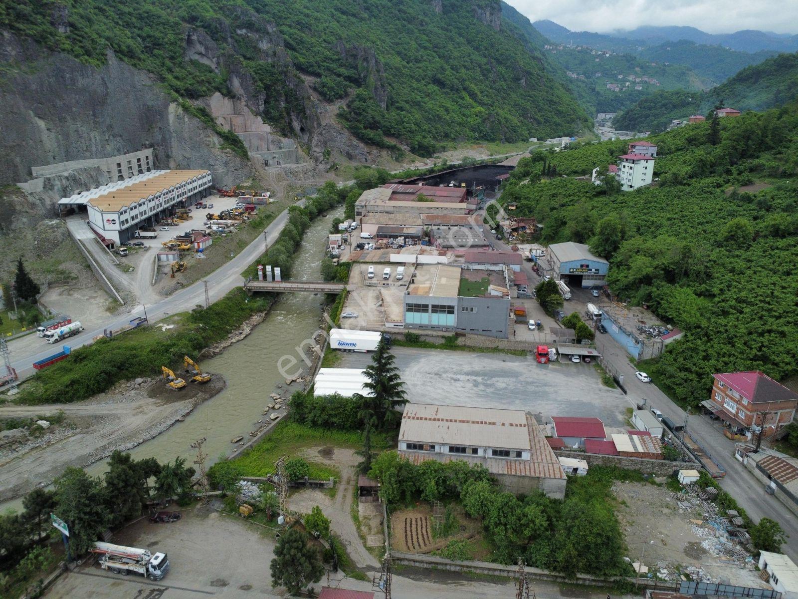 Trabzon Kutlugün Sanayi Bölgesi Büyük Arazi - Görsel 5