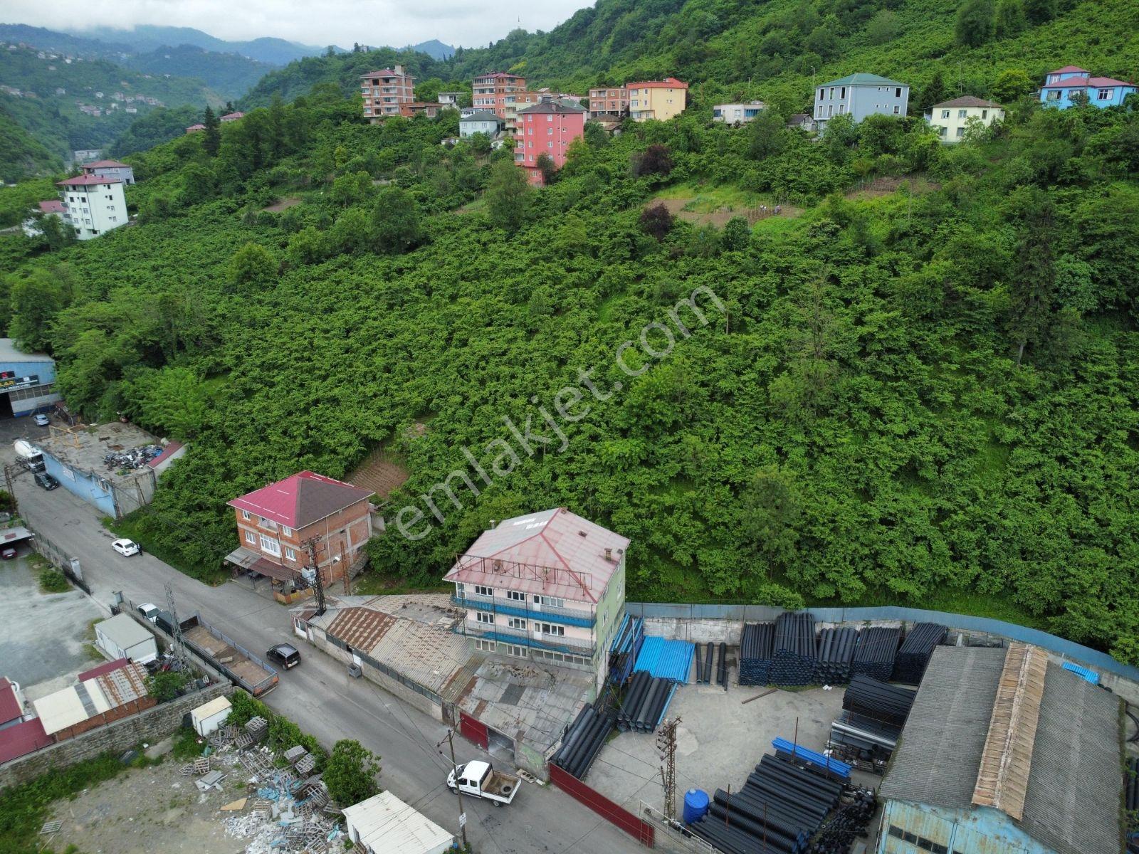 Trabzon Kutlugün Sanayi Bölgesi Büyük Arazi - Görsel 7