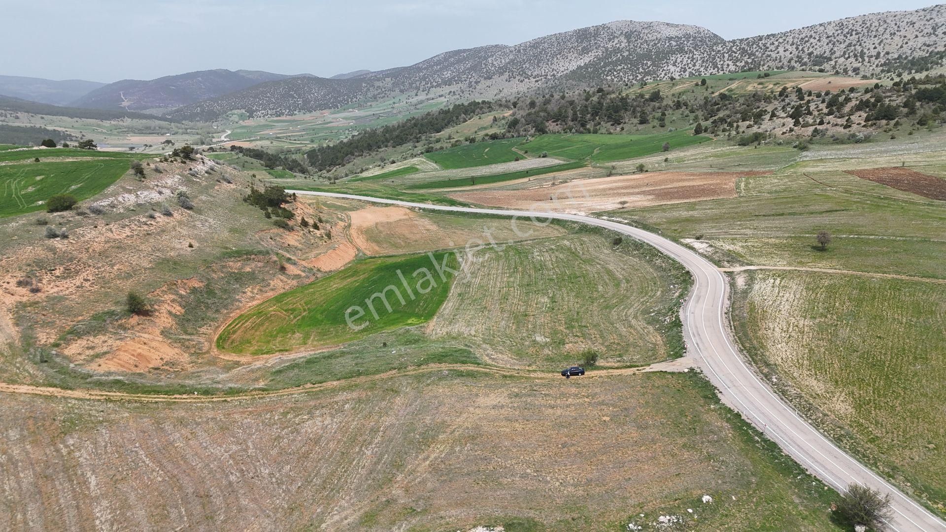 Konya / Ilgın / Gökçeyurt-özlem Mahallesinde 2.334 M² Hisse Tapulu Tarla