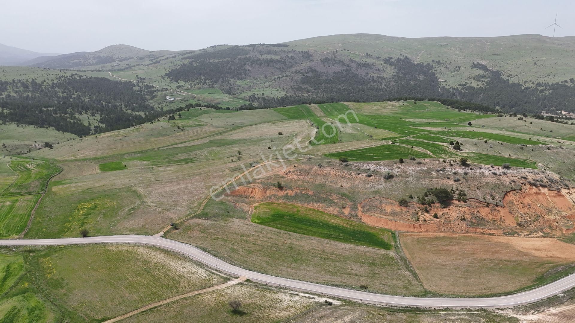 Konya / Ilgın / Gökçeyurt-özlem Mahallesinde 2.334 M² Hisse Tapulu Tarla - Görsel 3