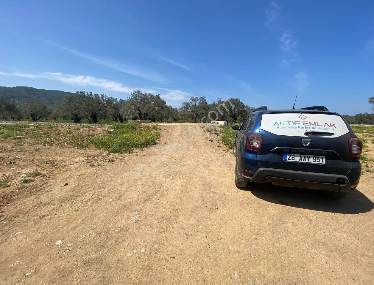 Aktif'ten Burhaniye Taylıeli'nde Uygun 638m2 Satılık Zeytinlik 🟦 - Görsel 35