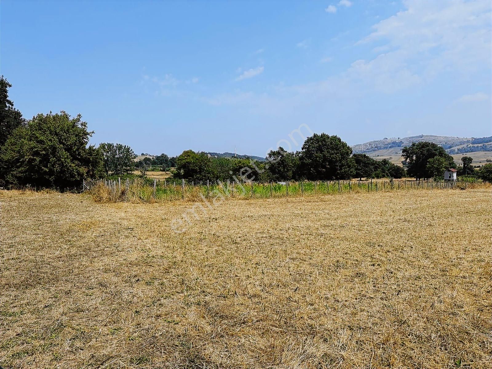 Köselli Köyünde Acil Satılık 4630 M2 Manzaralı Tarla - Görsel 8