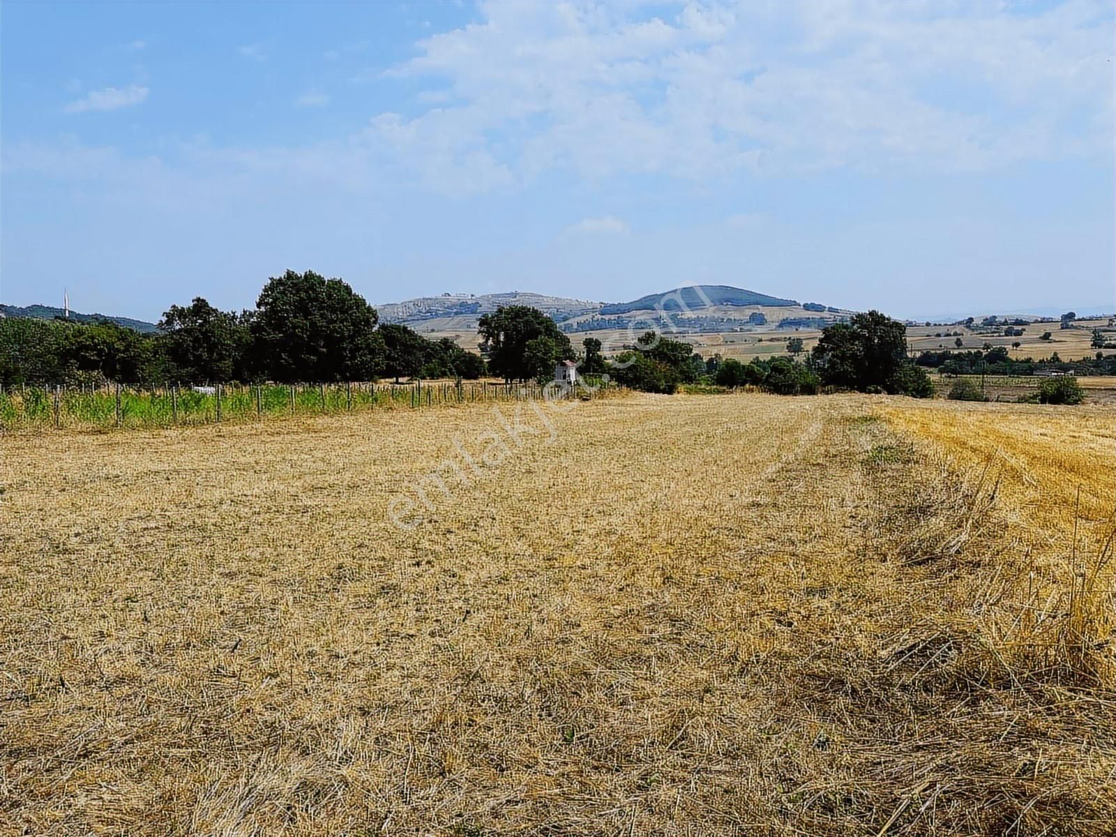 Köselli Köyünde Acil Satılık 4630 M2 Manzaralı Tarla - Görsel 3