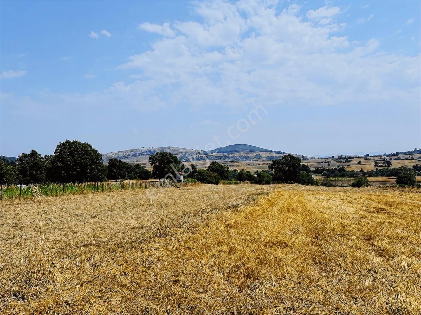 Köselli Köyünde Acil Satılık 4630 M2 Manzaralı Tarla - Görsel 9