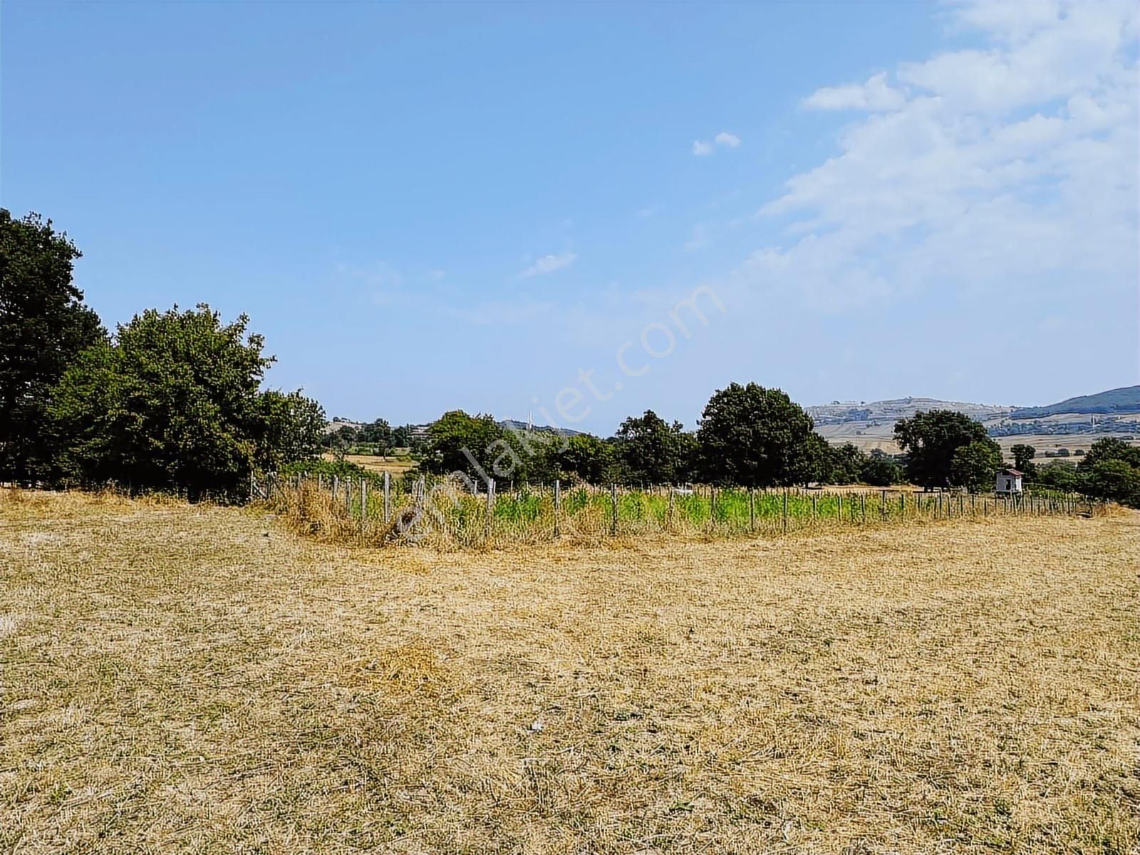 Köselli Köyünde Acil Satılık 4630 M2 Manzaralı Tarla - Görsel 10