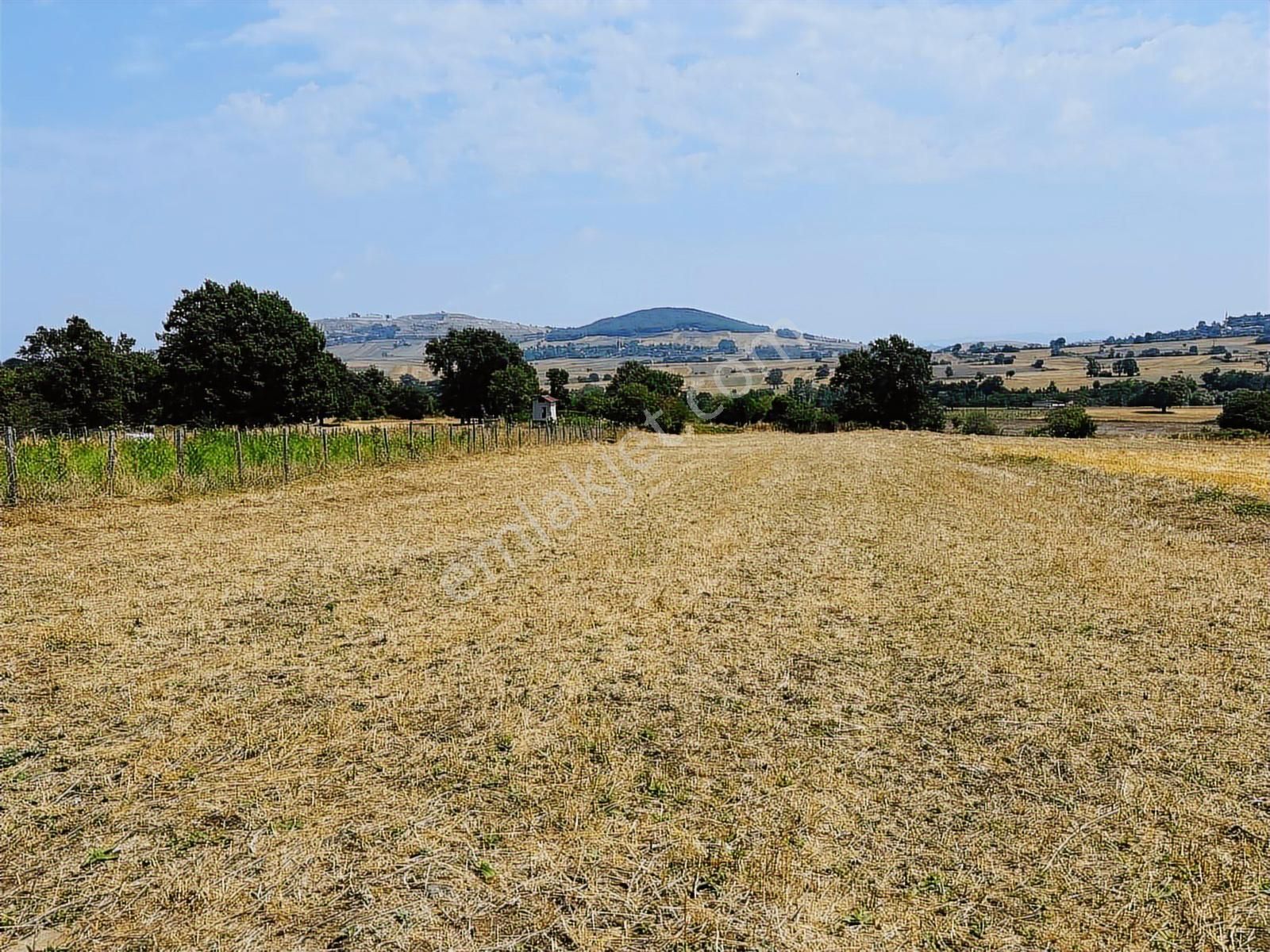 Köselli Köyünde Acil Satılık 4630 M2 Manzaralı Tarla - Görsel 7