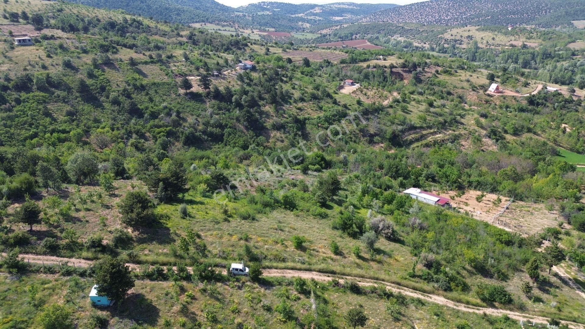 Konya / Ilgın / Gökçeyurt-gümüş Mahallesinde 396 M² Müstakil Tapulu Bağ - Görsel 7