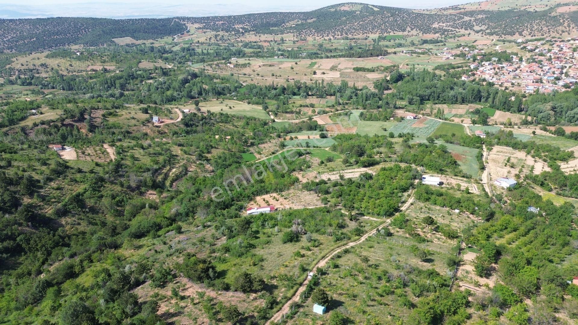 Konya / Ilgın / Gökçeyurt-gümüş Mahallesinde 396 M² Müstakil Tapulu Bağ - Görsel 8