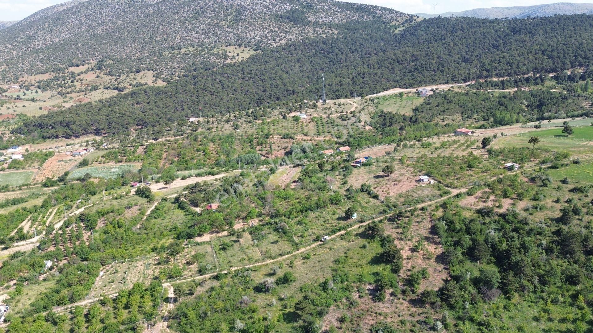 Konya / Ilgın / Gökçeyurt-gümüş Mahallesinde 396 M² Müstakil Tapulu Bağ - Görsel 2