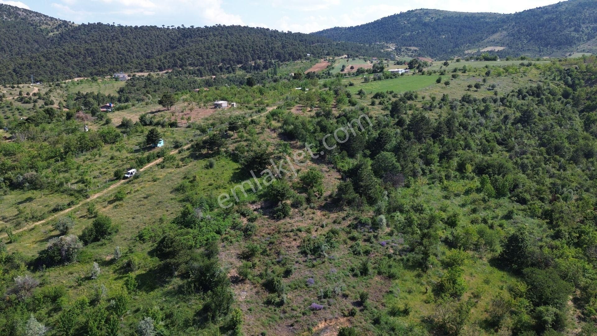 Konya / Ilgın / Gökçeyurt-gümüş Mahallesinde 396 M² Müstakil Tapulu Bağ - Görsel 9