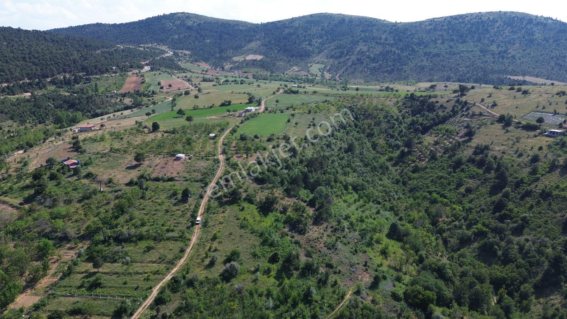 Konya / Ilgın / Gökçeyurt-gümüş Mahallesinde 396 M² Müstakil Tapulu Bağ - Görsel 10