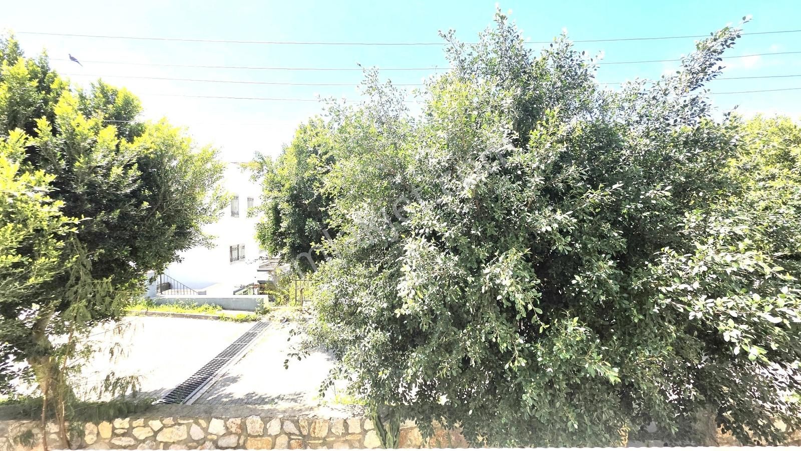 Bodrum Alt Konacık Avenue Yakını 2+1 Daire