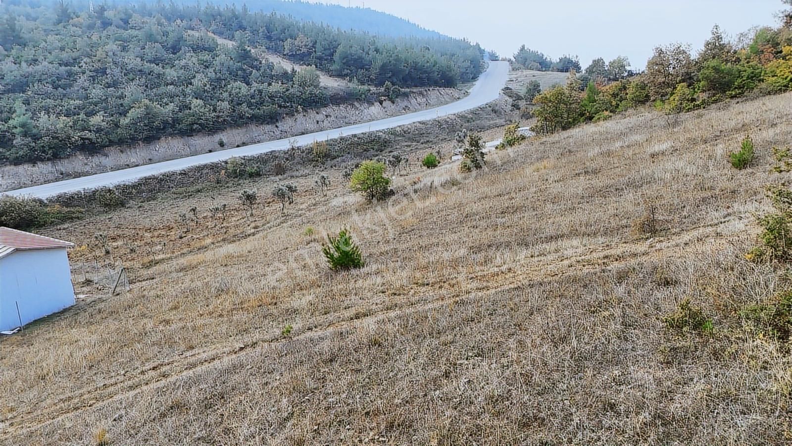 Asfalta 2. Parsel - Köye 1 Km. Mesafede - Etrafı Yanı Mera - Görsel 11