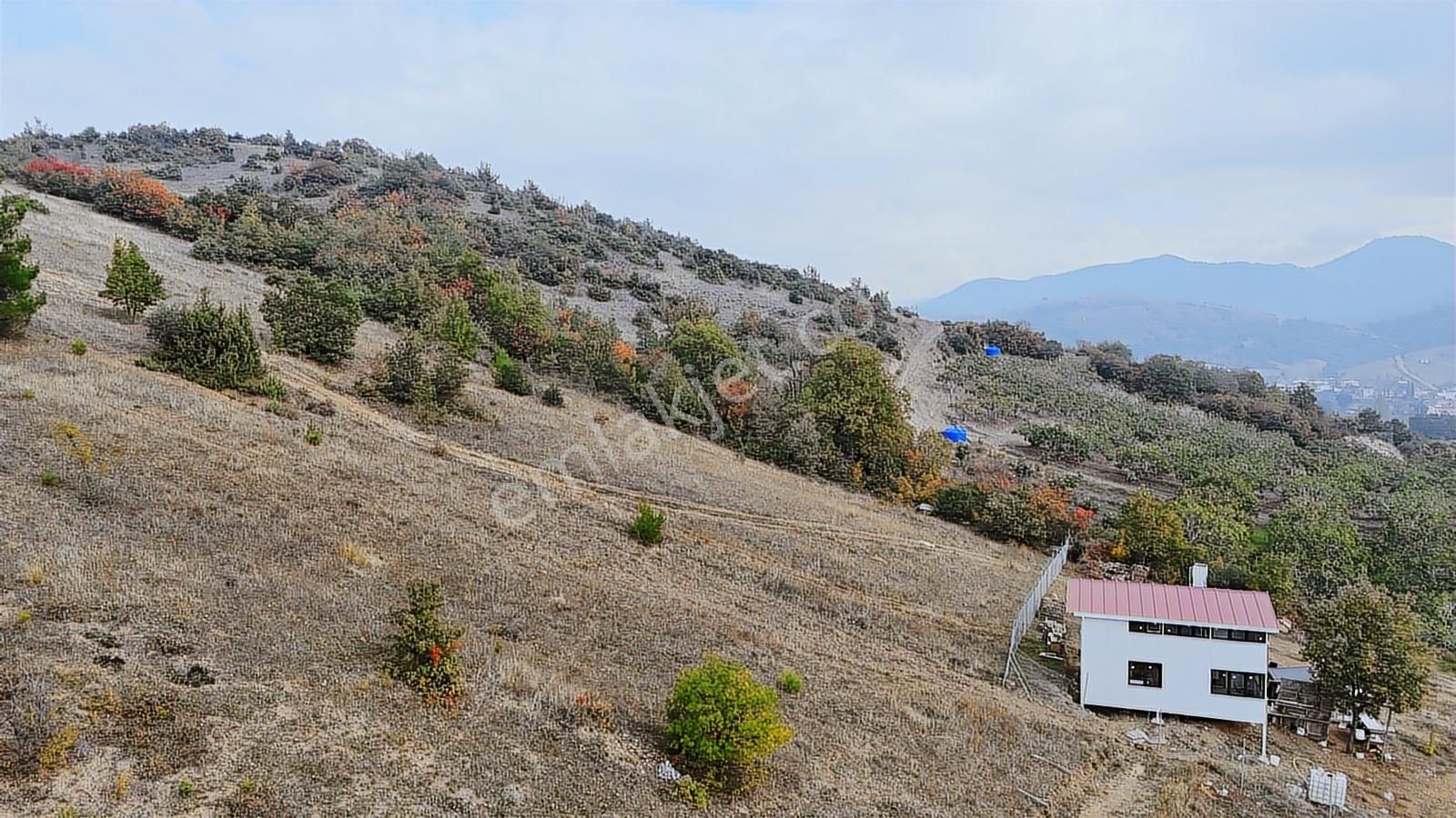 Asfalta 2. Parsel - Köye 1 Km. Mesafede - Etrafı Yanı Mera - Görsel 8