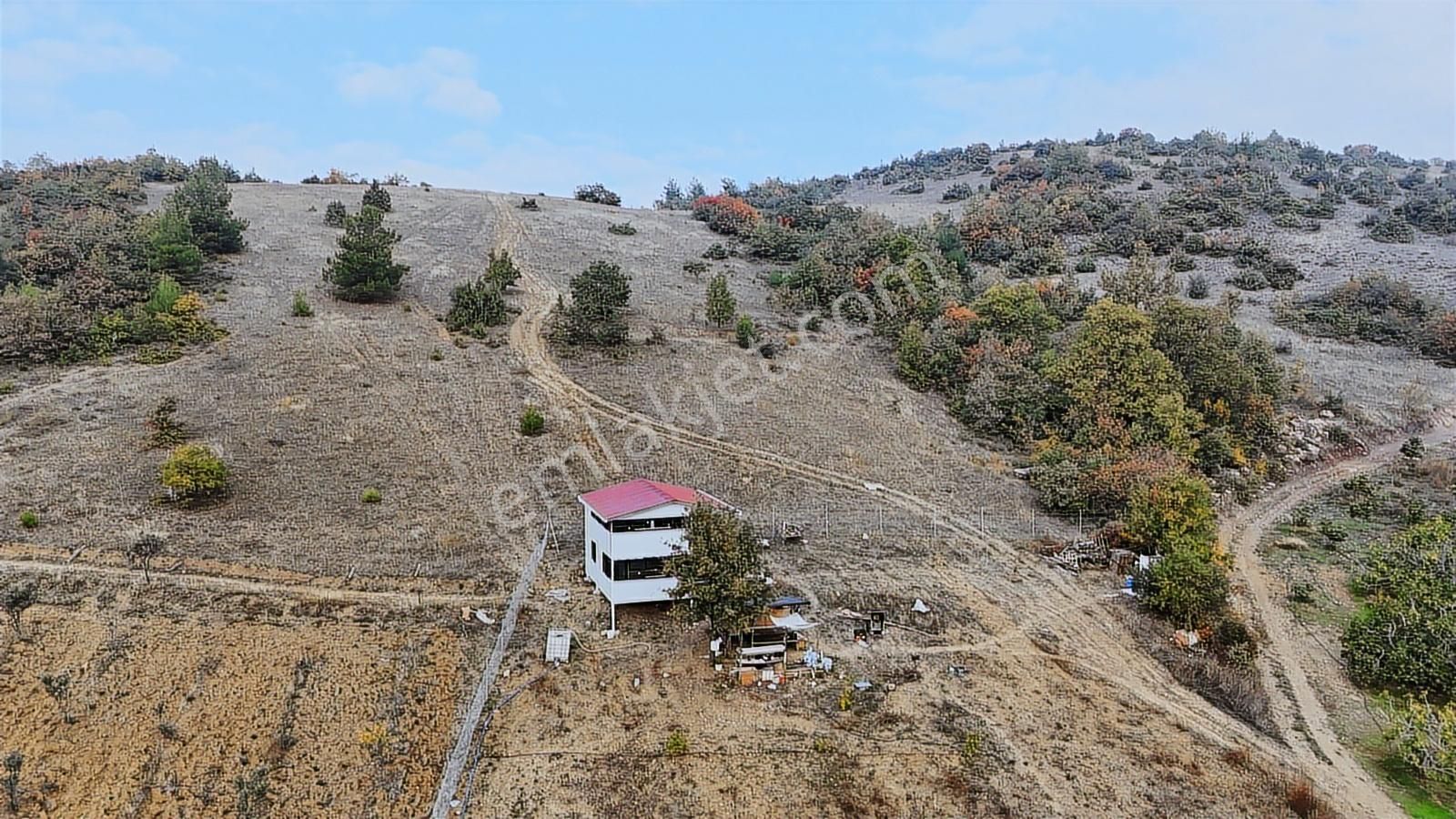 Asfalta 2. Parsel - Köye 1 Km. Mesafede - Etrafı Yanı Mera - Görsel 18
