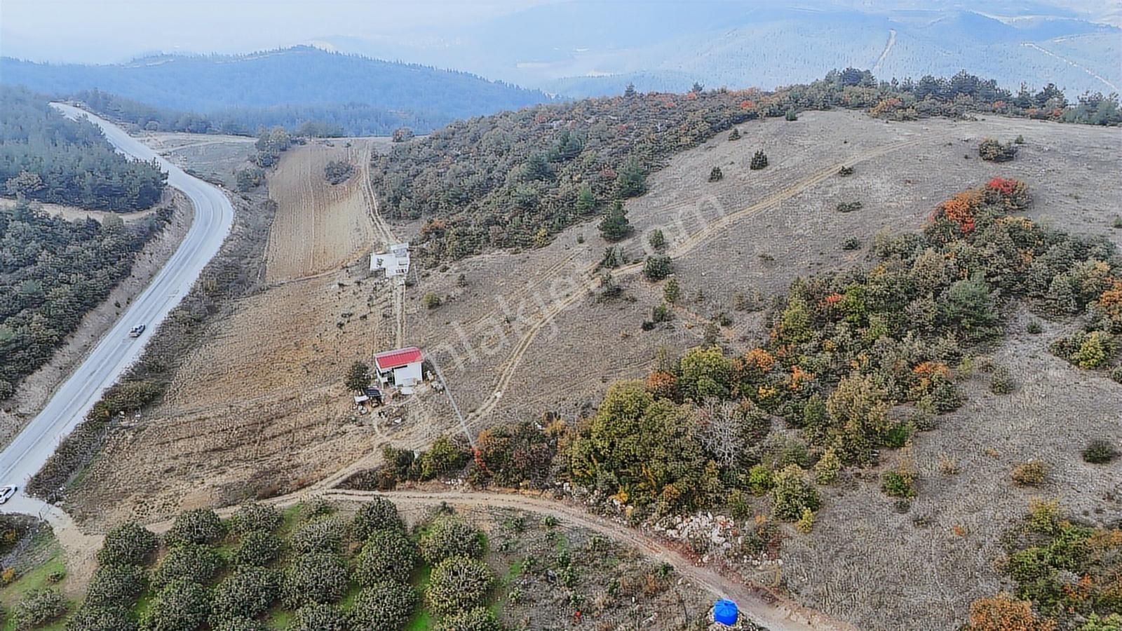 Asfalta 2. Parsel - Köye 1 Km. Mesafede - Etrafı Yanı Mera - Görsel 12
