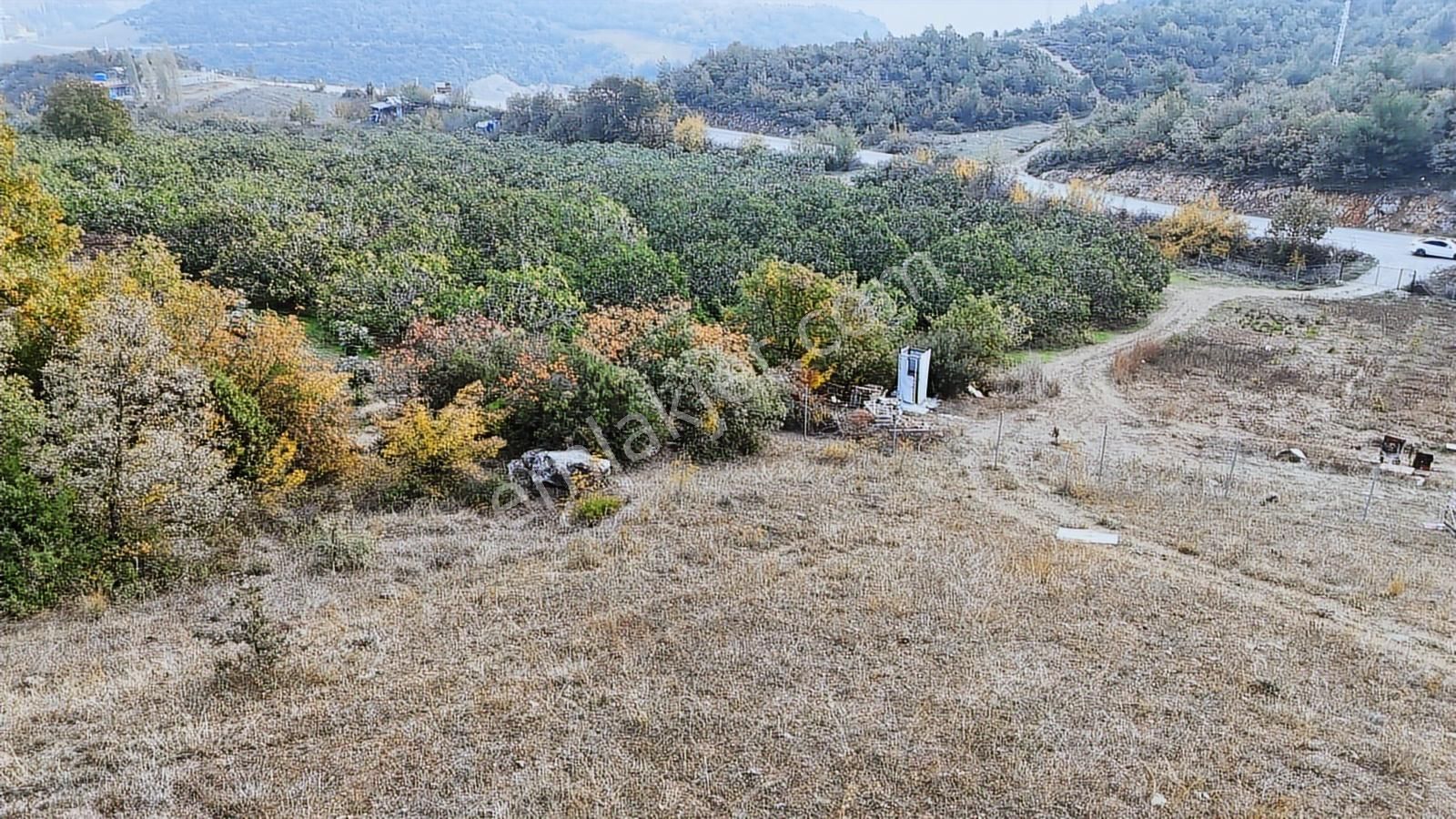 Asfalta 2. Parsel - Köye 1 Km. Mesafede - Etrafı Yanı Mera - Görsel 4