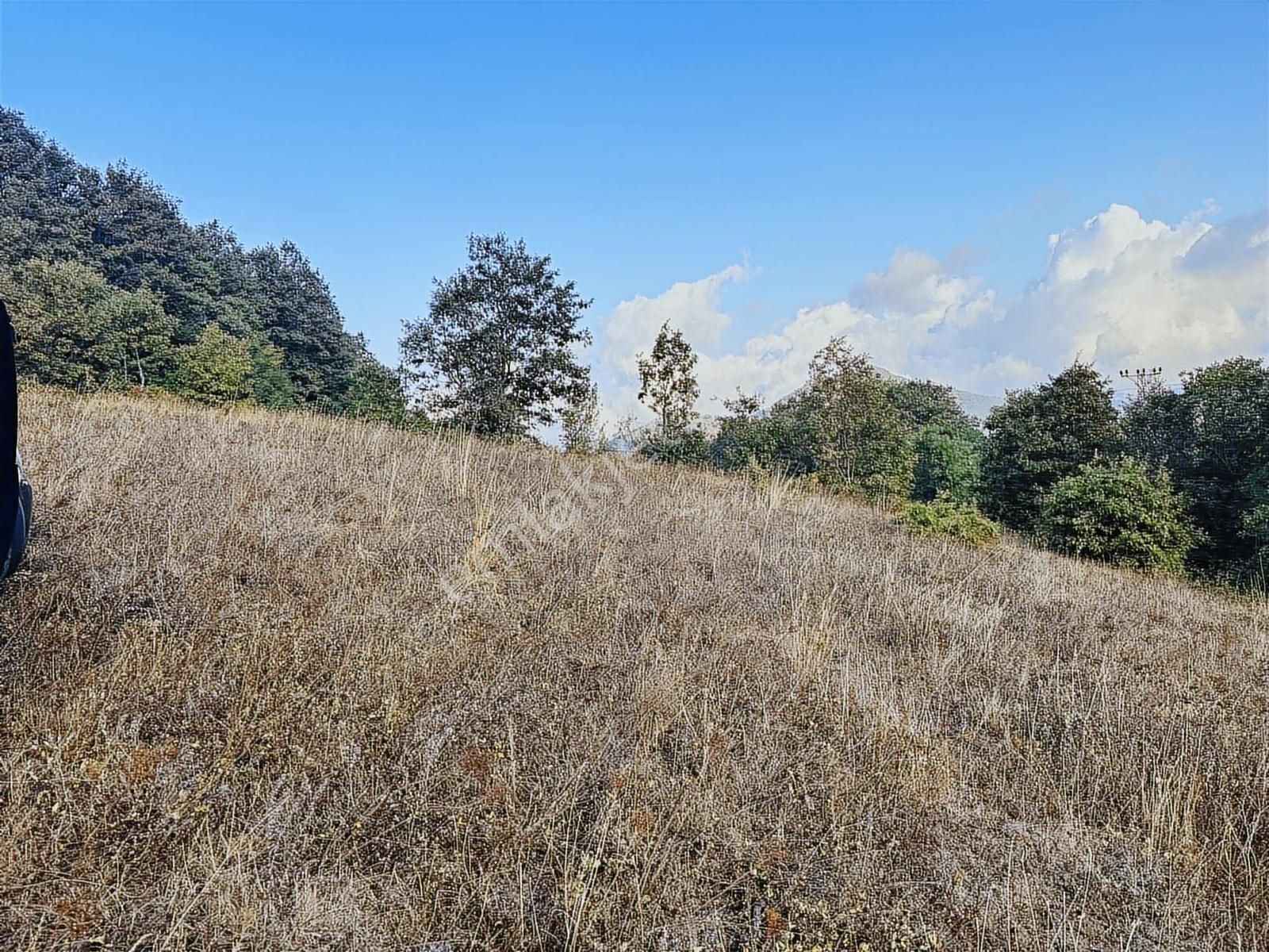 Akalanda Asflat Yola Cephe Köy Yerleşim Alında 3200m2 Tarla - Görsel 8