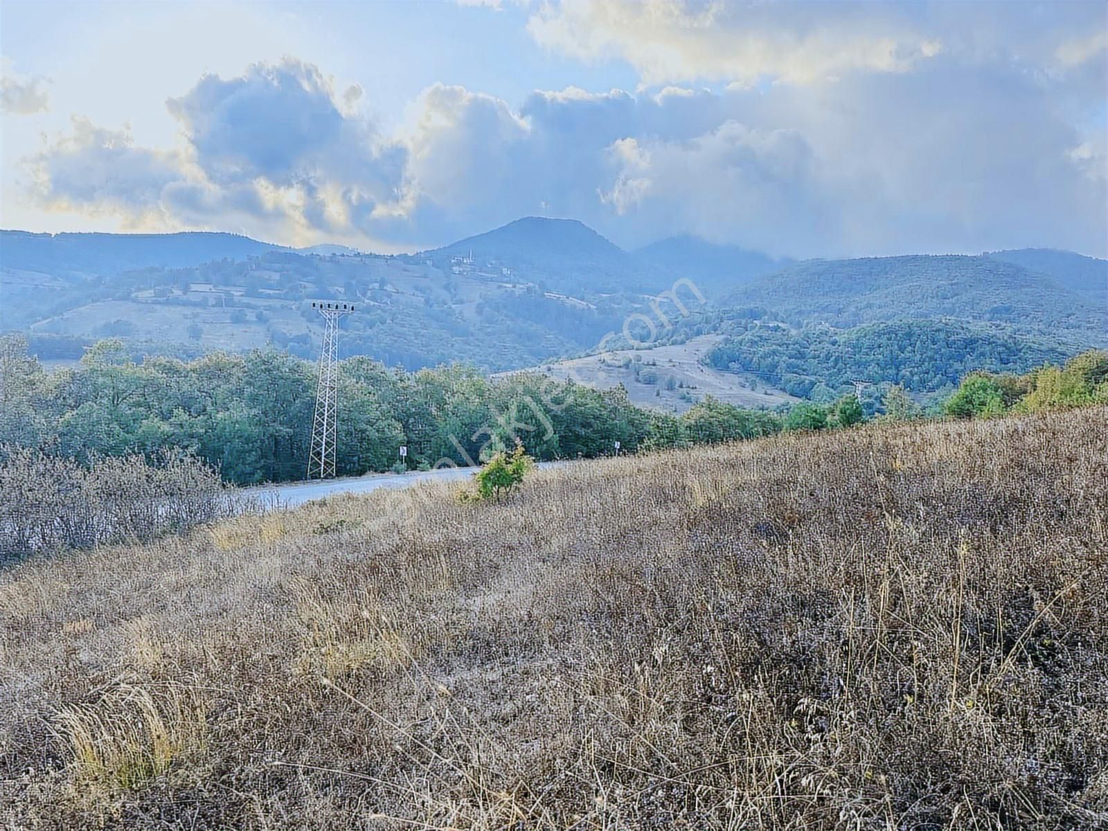 Akalanda Asflat Yola Cephe Köy Yerleşim Alında 3200m2 Tarla - Görsel 2
