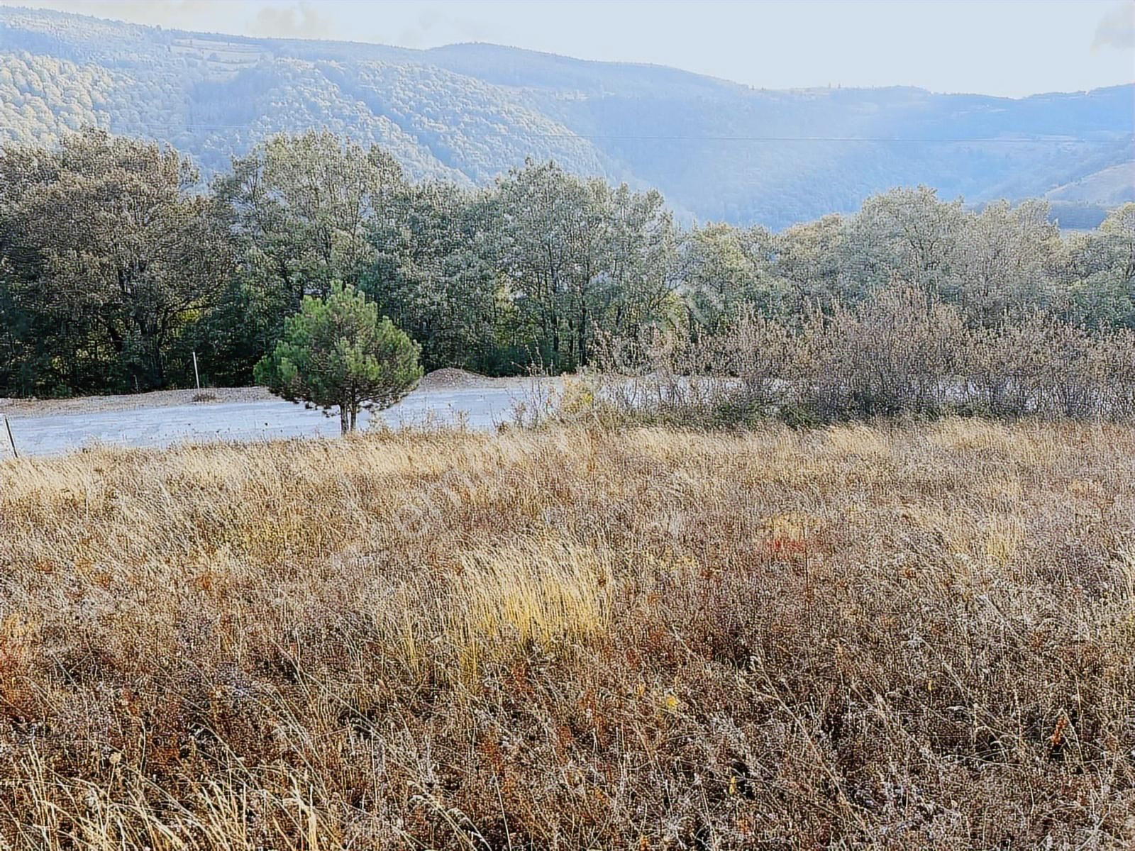 Akalanda Asflat Yola Cephe Köy Yerleşim Alında 3200m2 Tarla - Görsel 9