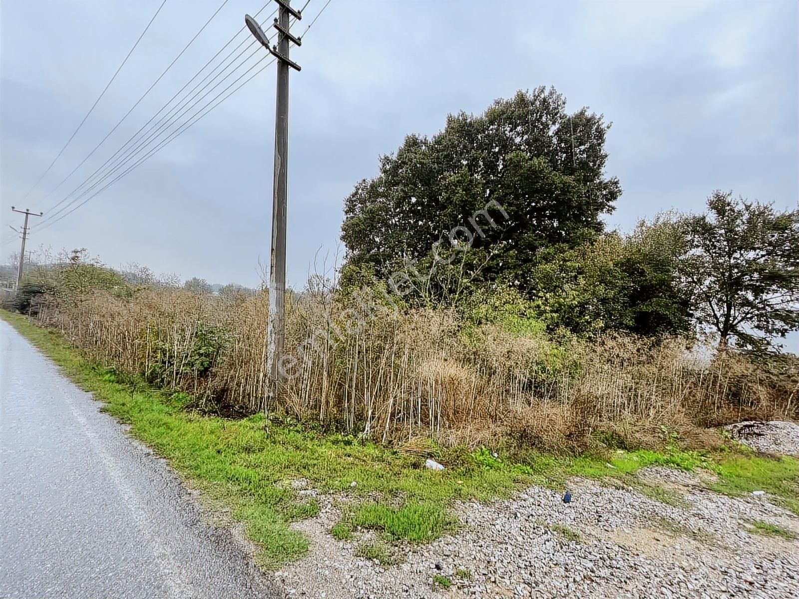 Uzunalan'da %40 İmarlı Asfalta Cephe Fırsat Arsa - Görsel 15