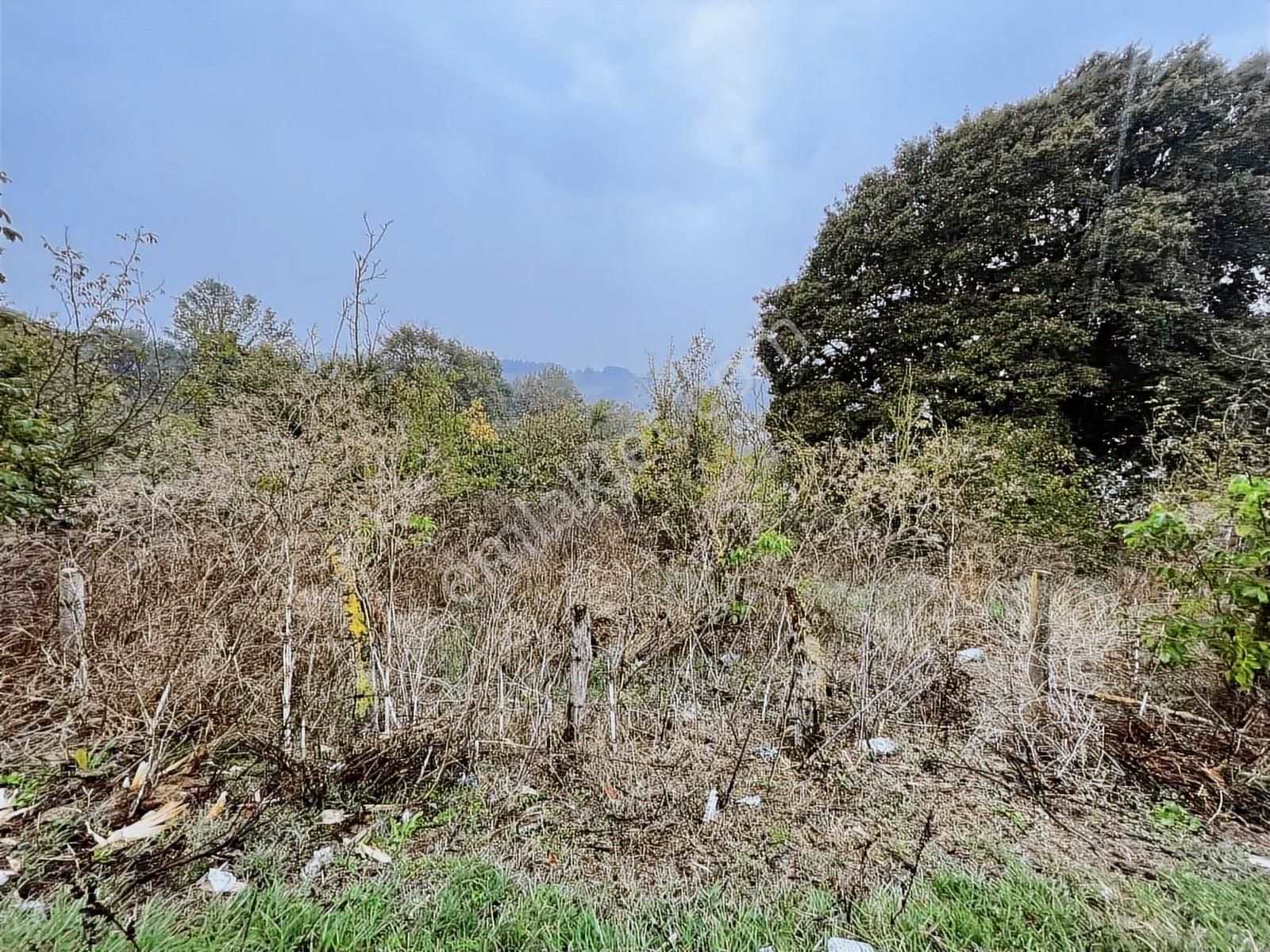 Uzunalan'da %40 İmarlı Asfalta Cephe Fırsat Arsa - Görsel 14