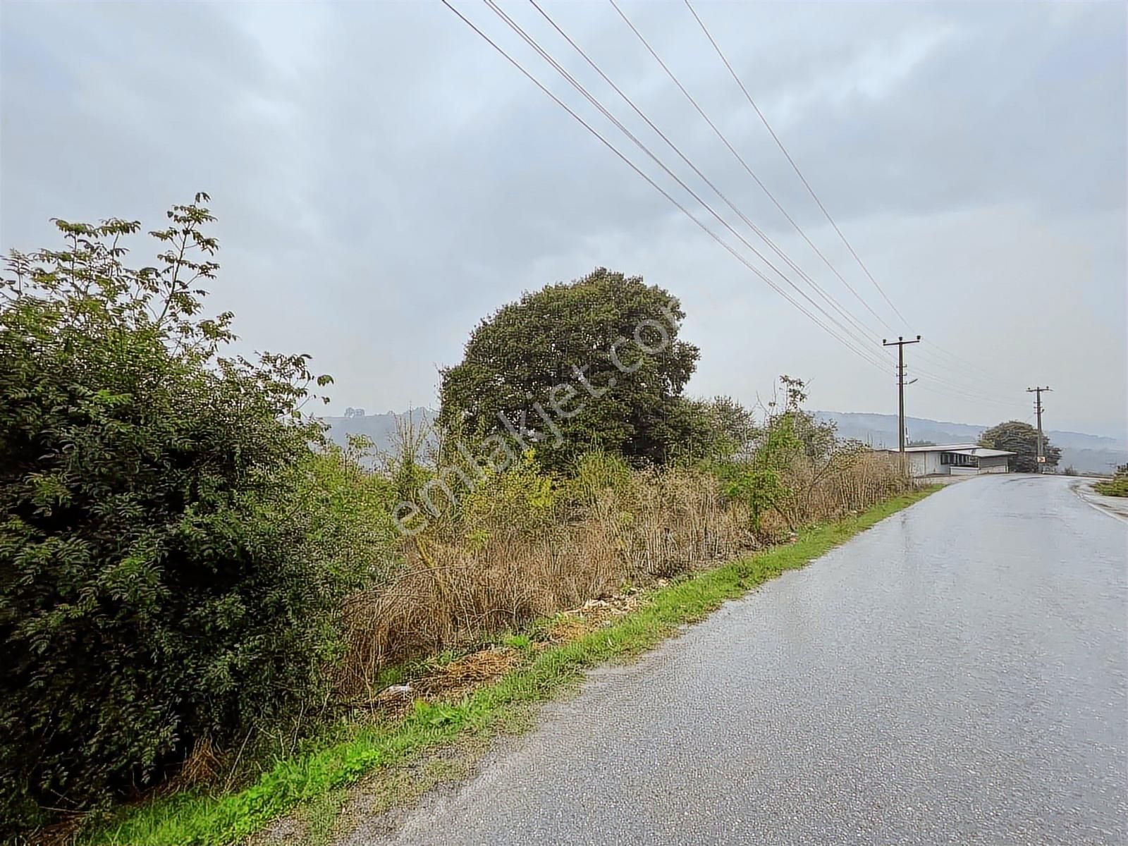 Uzunalan'da %40 İmarlı Asfalta Cephe Fırsat Arsa - Görsel 2