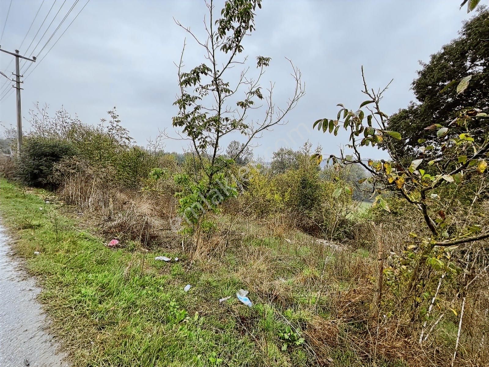 Uzunalan'da %40 İmarlı Asfalta Cephe Fırsat Arsa - Görsel 5